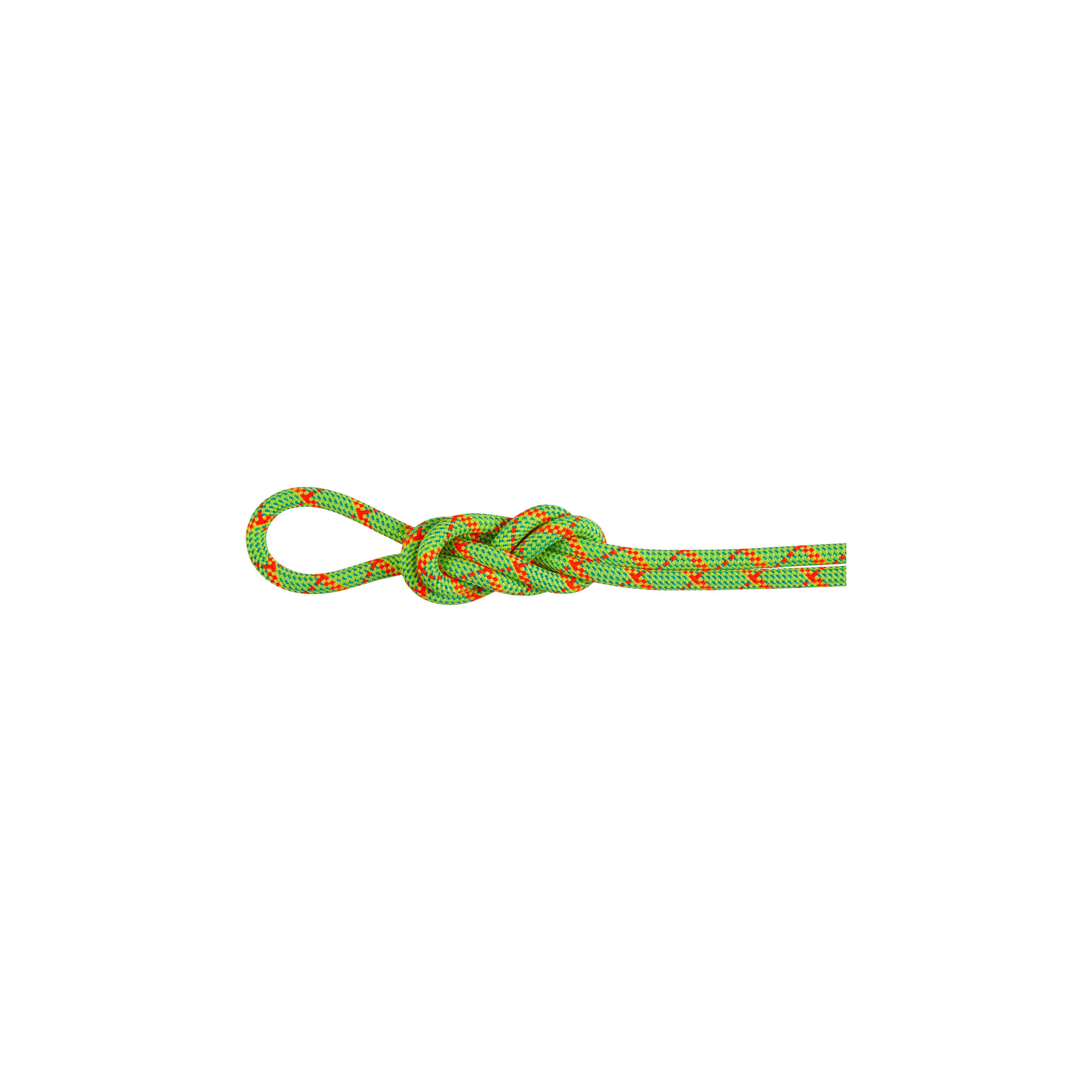 Mammut 8.0 Alpine Core Protect Dry Rope 70m - Thumbnail