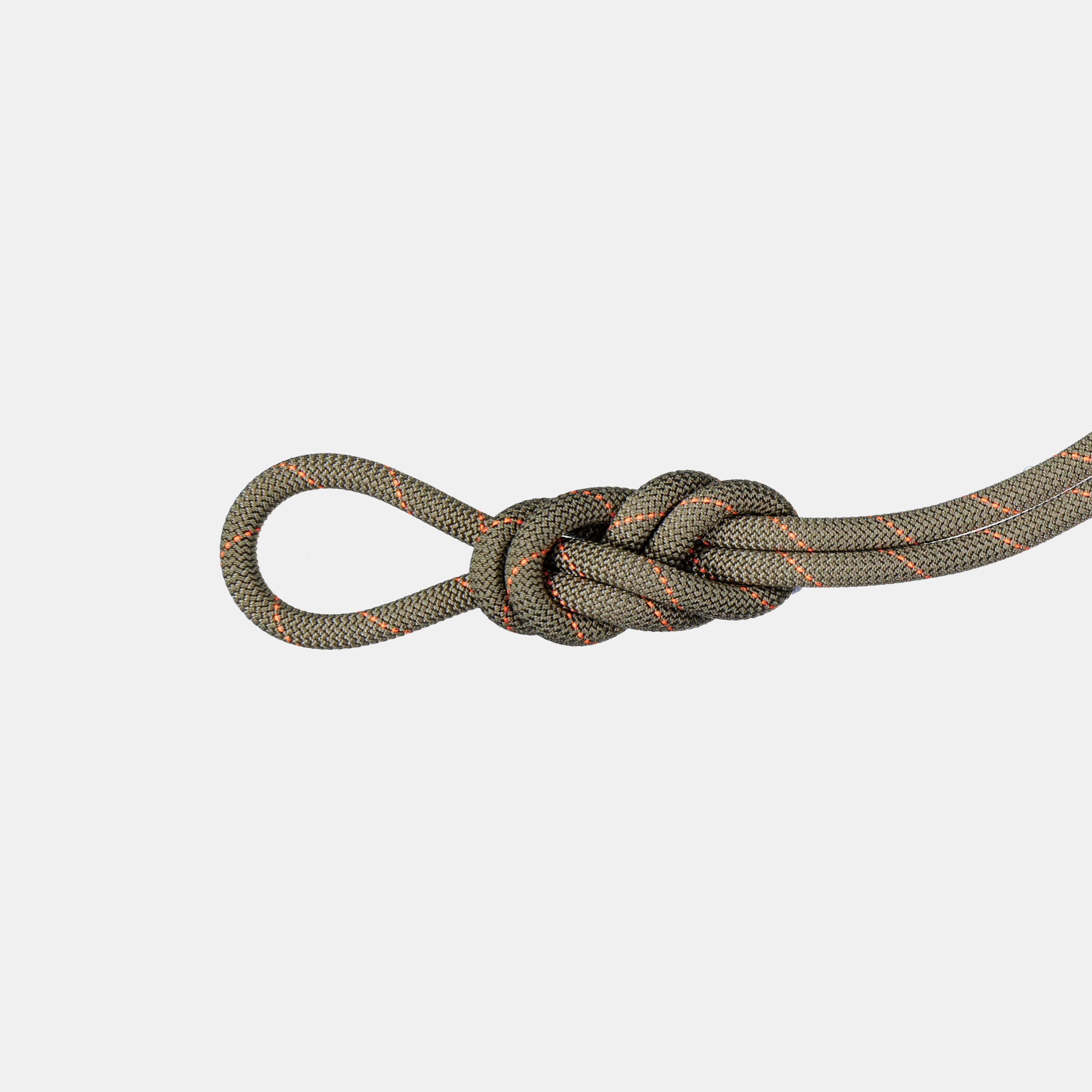 Mammut 9.9 Gym Workhorse Classic Rope 40m, boa
