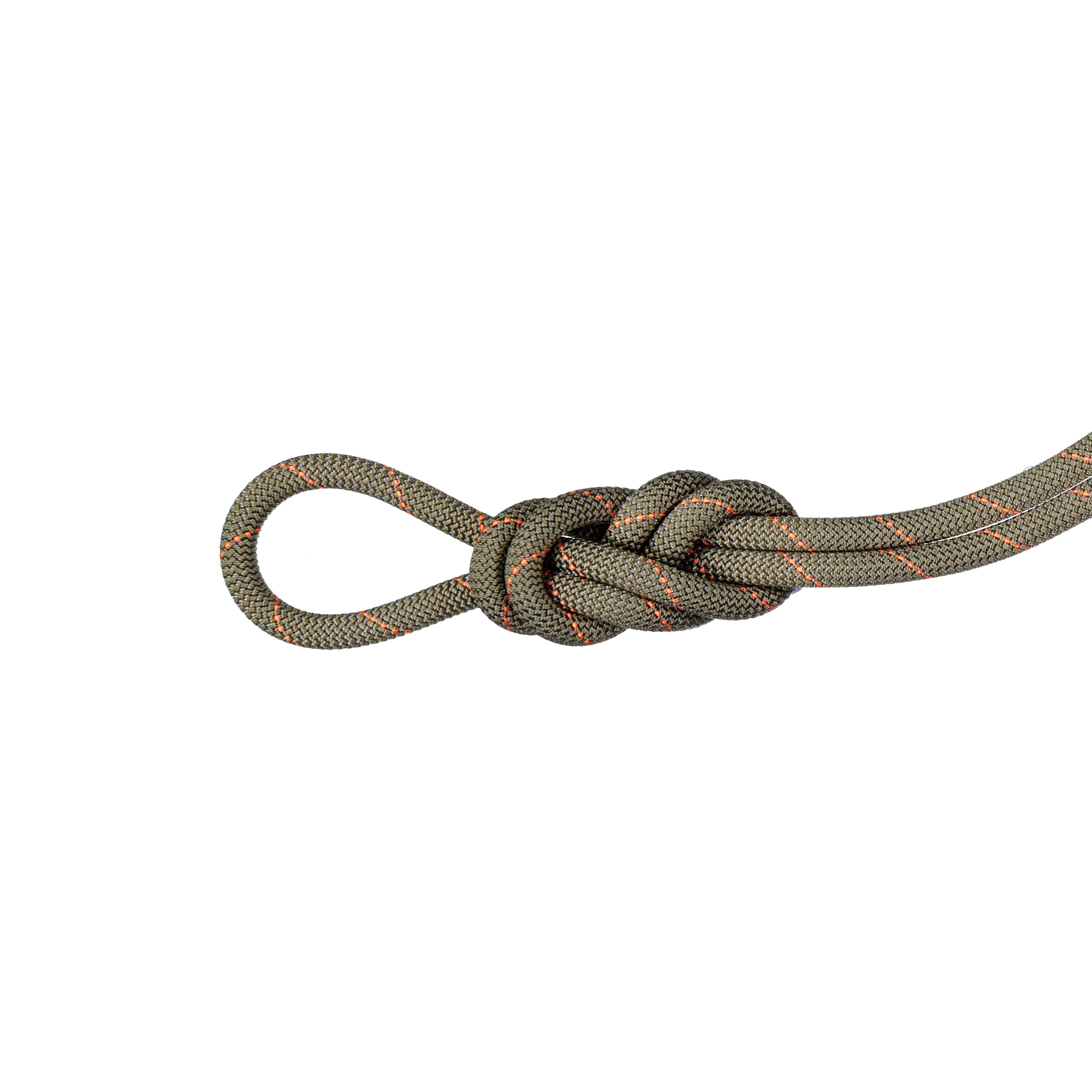 Mammut 9.9 Gym Workhorse Classic Rope 40m, boa - Thumbnail