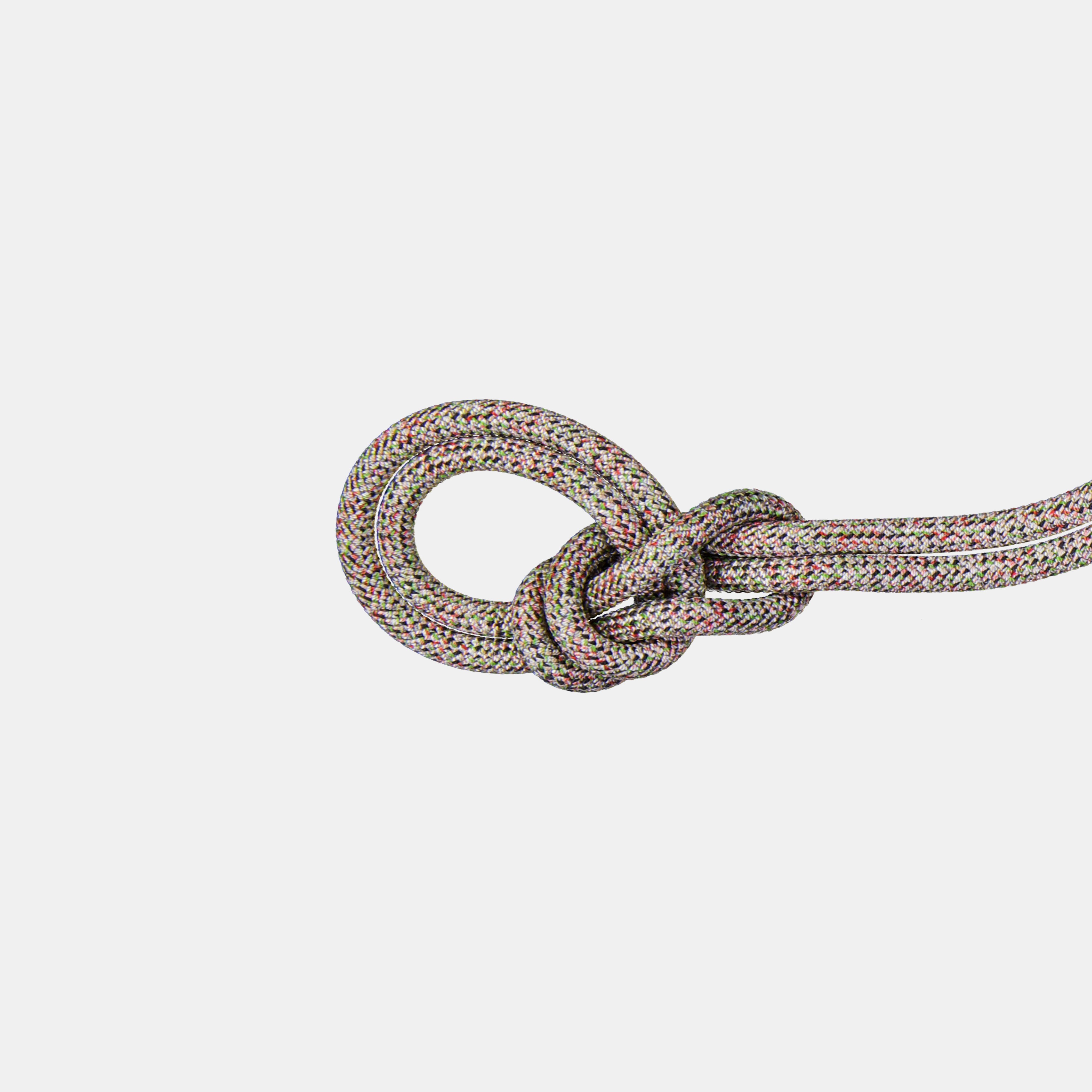 Mammut 9.5 Crag We Care Classic Rope 40m, assorted