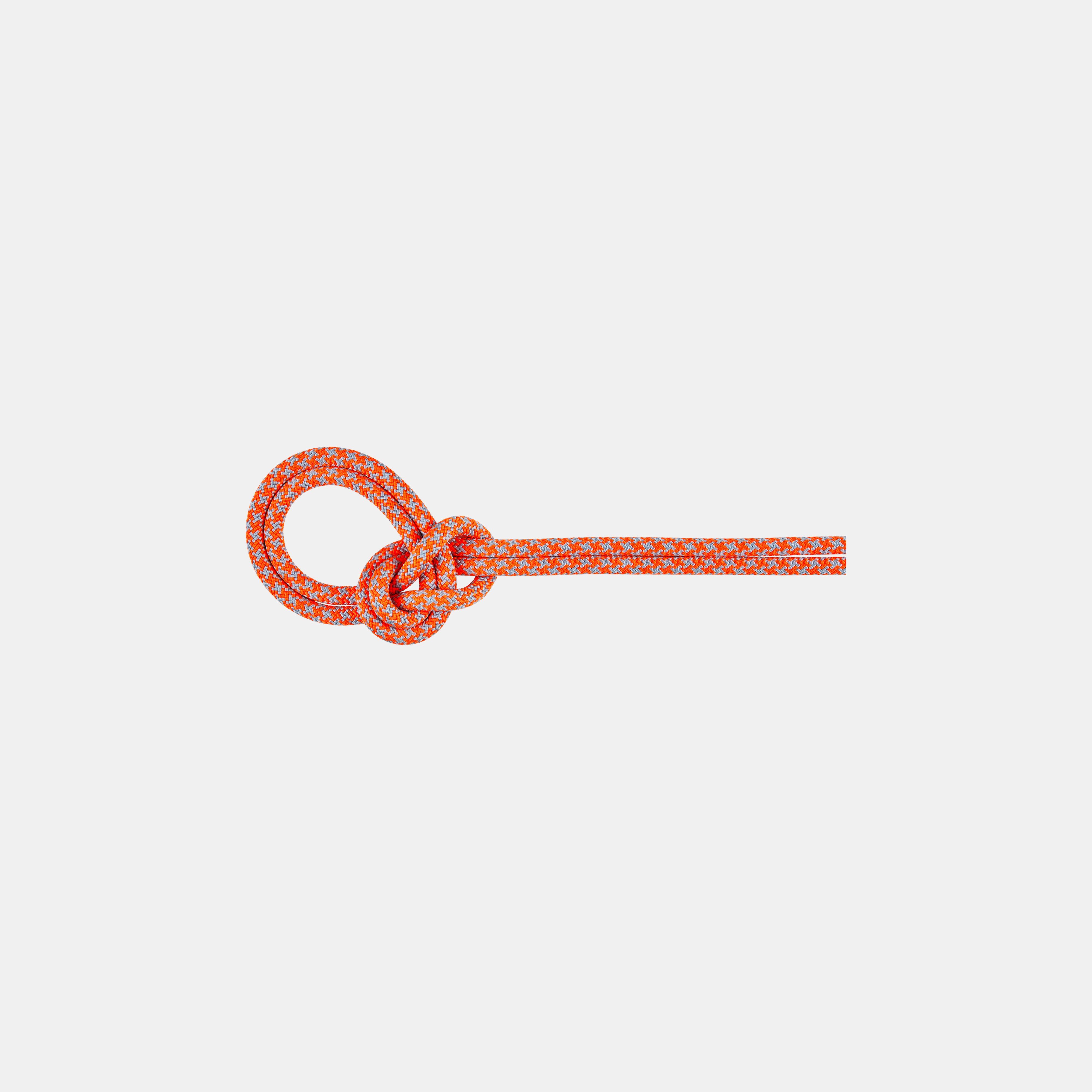 Mammut 8.7 Crag Sender Dry Rope 100m, vibrant orange-zen