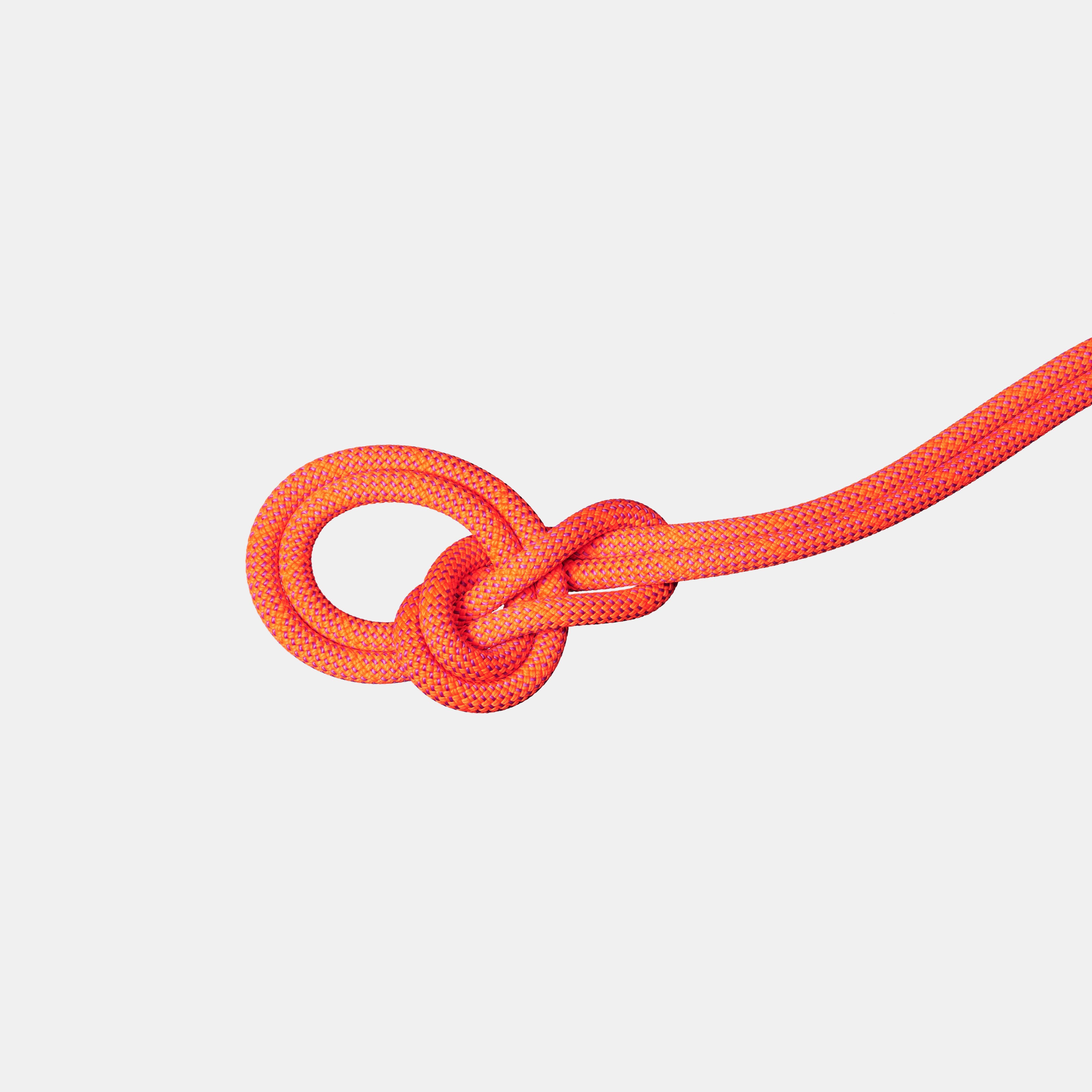 Mammut 9.8 Crag Dry Rope 60m, 2292