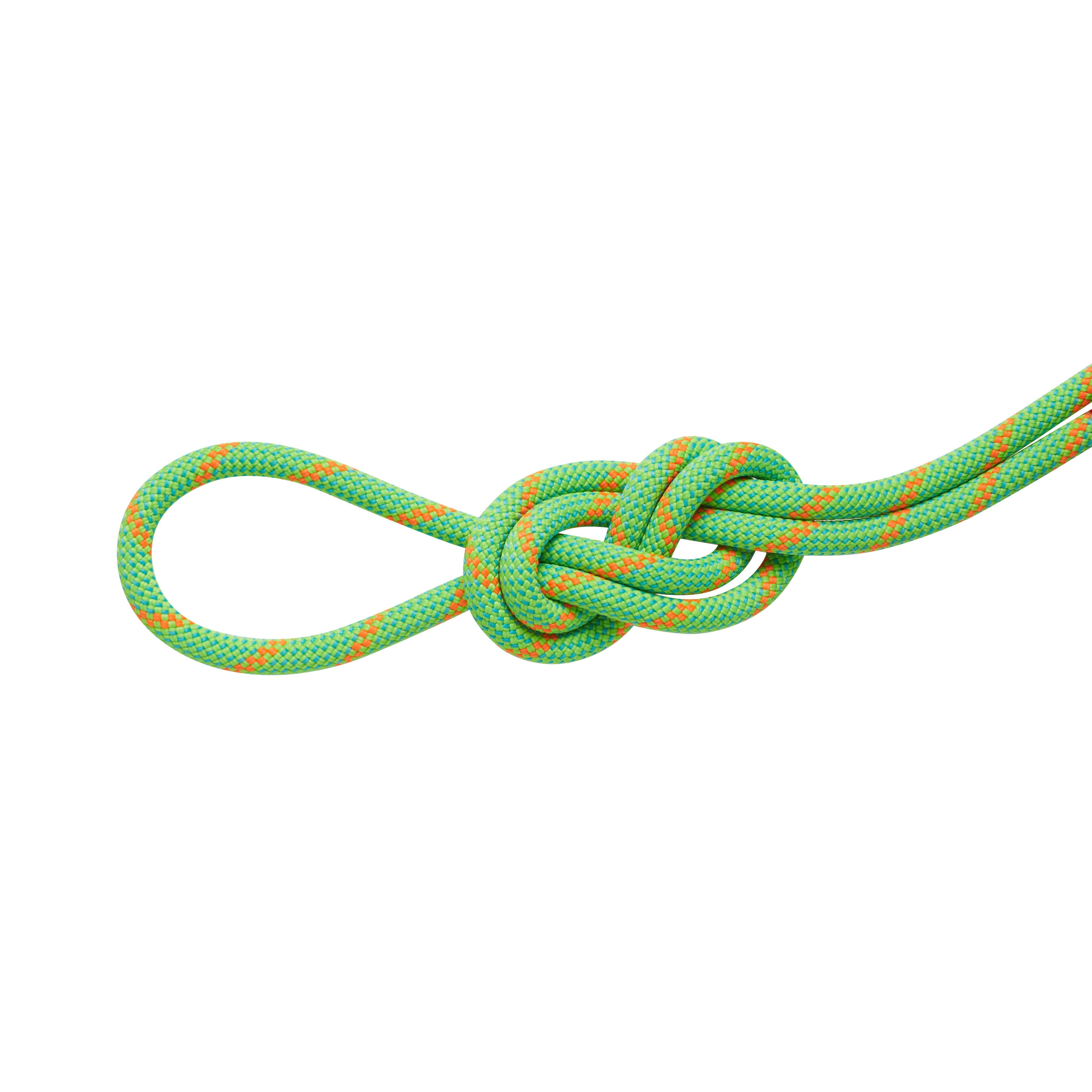 Mammut 8.0 Alpine Dry Rope 30m - Thumbnail