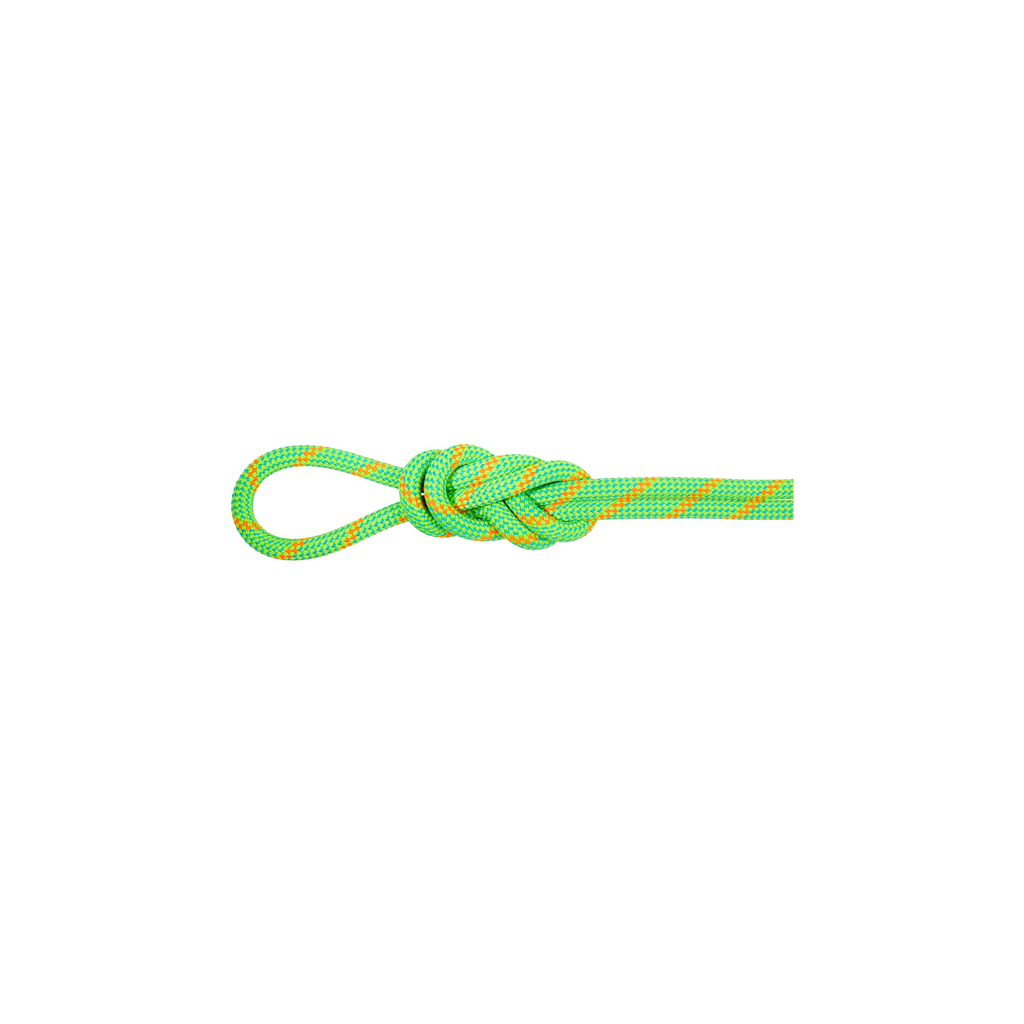 Mammut 8.0 Alpine Dry Rope 60m - 40314/50623 - Thumbnail