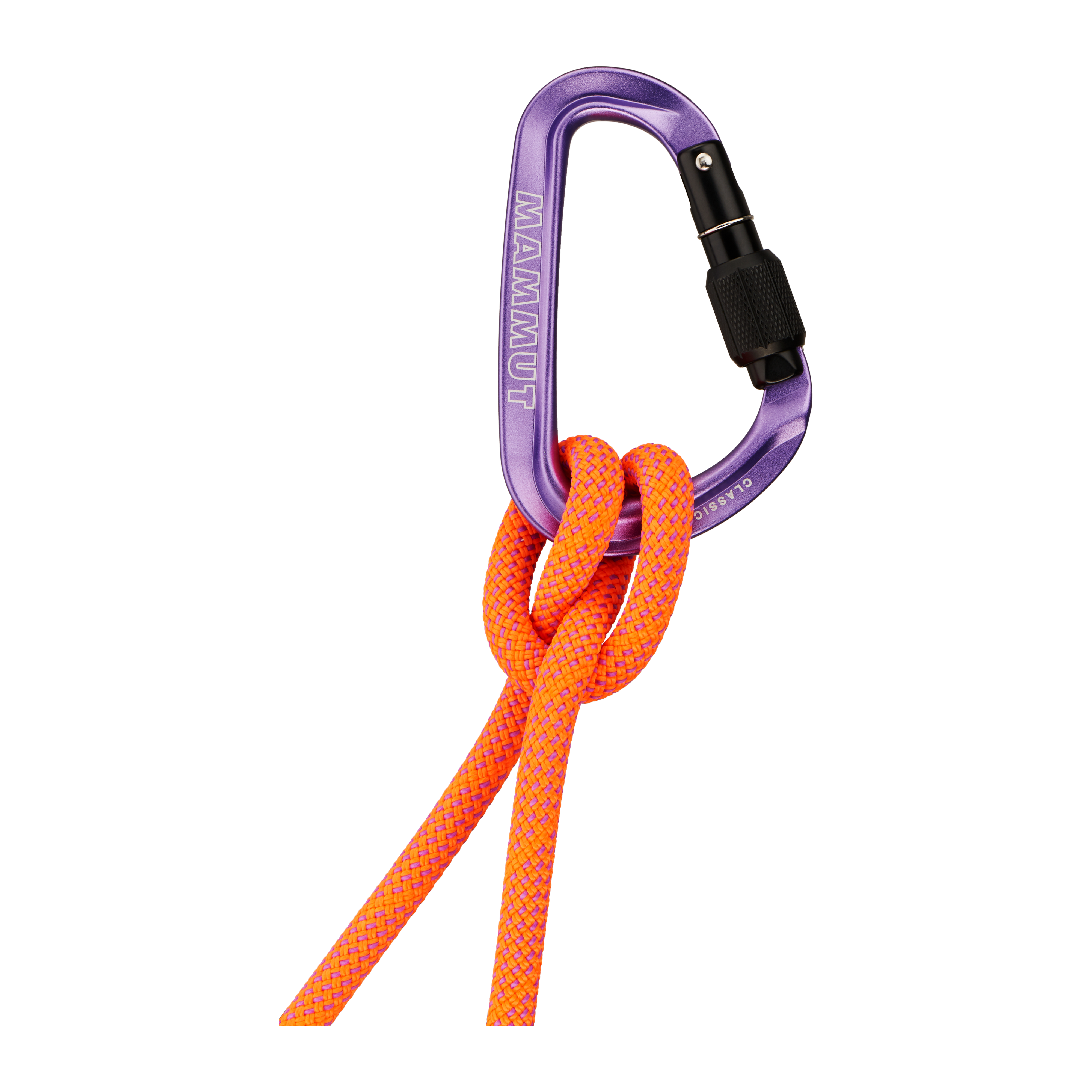 Mammut Classic HMS Screwgate Carabiner, Screw Gate, alpine calamint - Screw Gate, alpine calamint - Main image