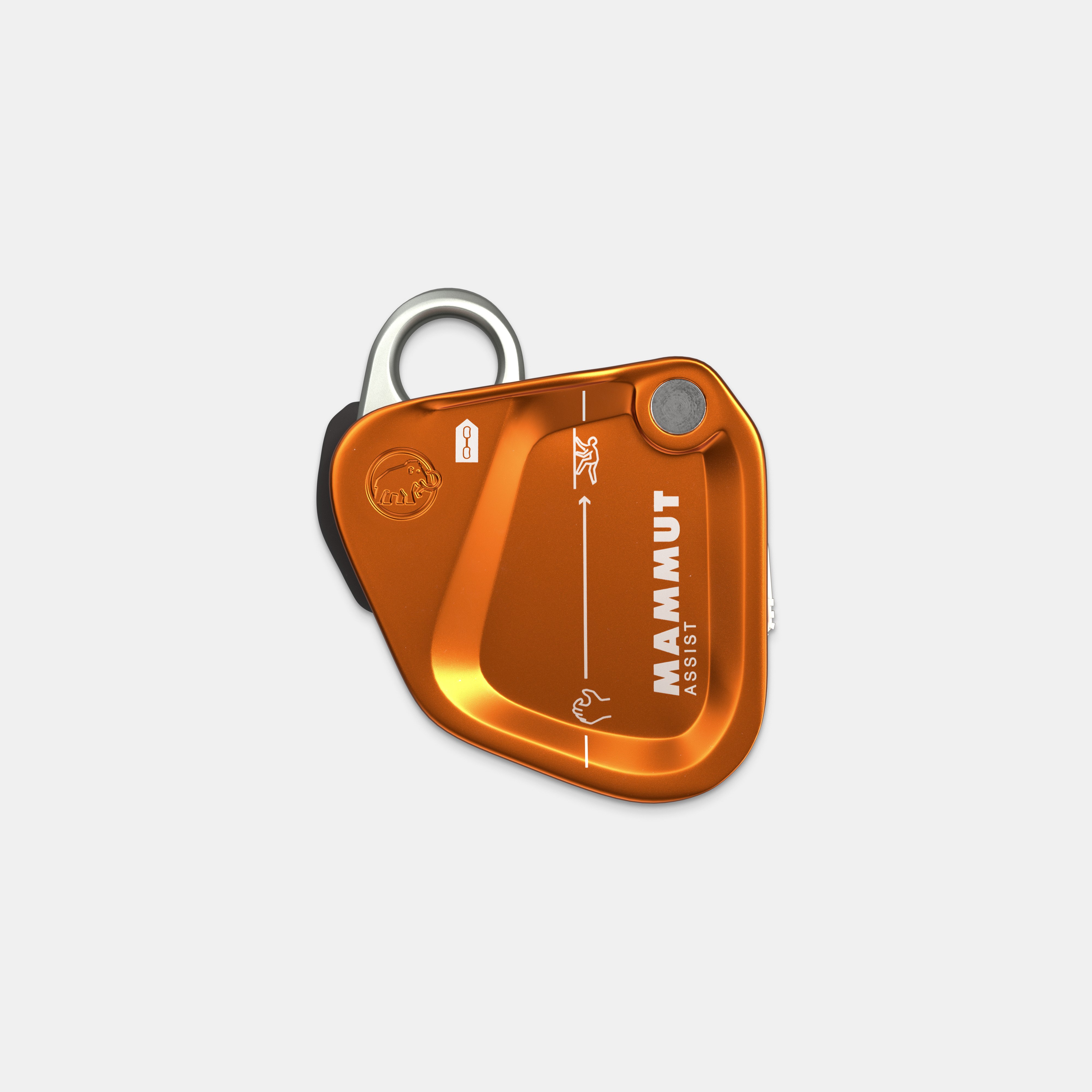 Mammut Wall Alpine Belay A € 30,09 (oggi