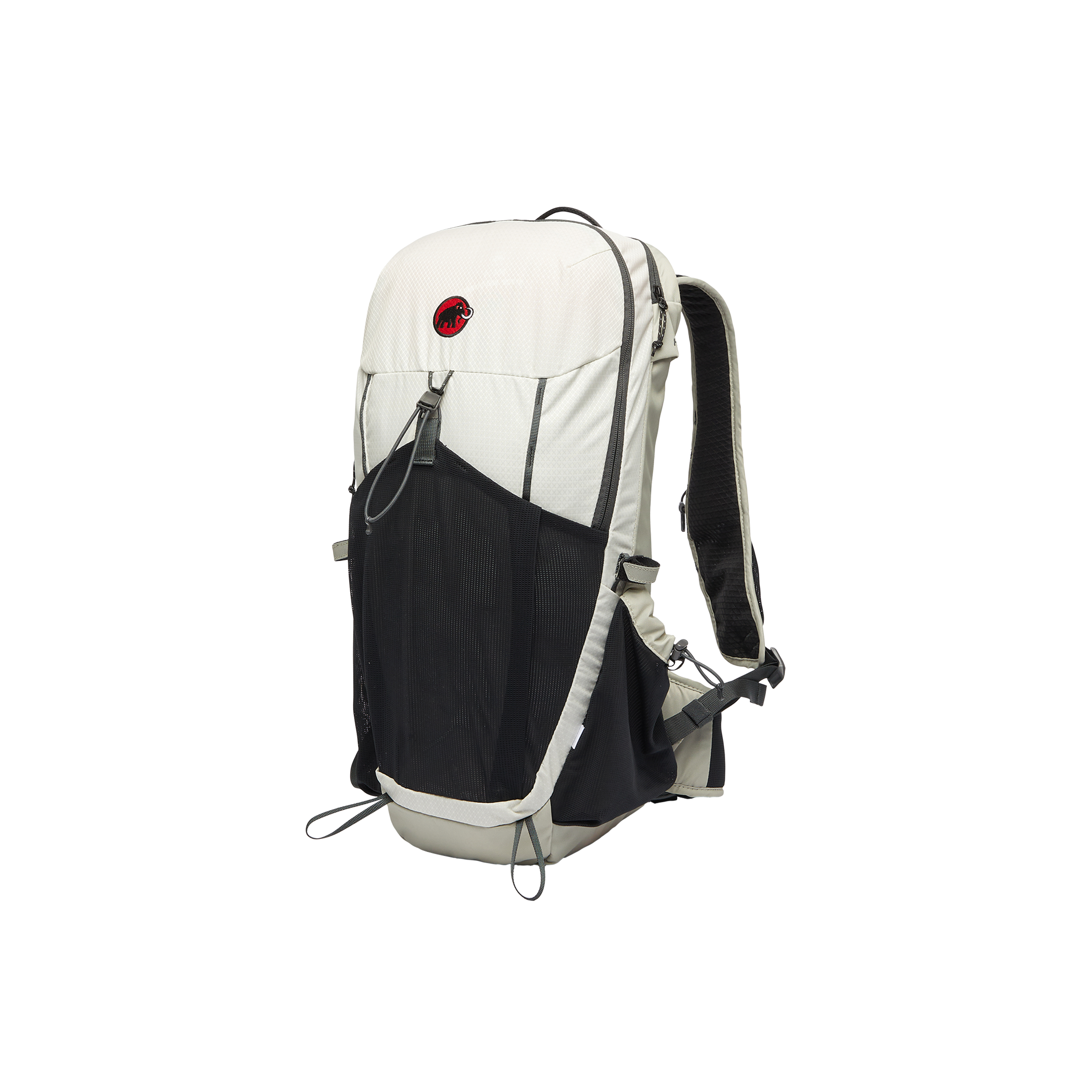 Mammut Hiking Patrol x Mammut Ducan 22, sage frost-willow whisper - Sage frost-willow whisper - Thumbnail