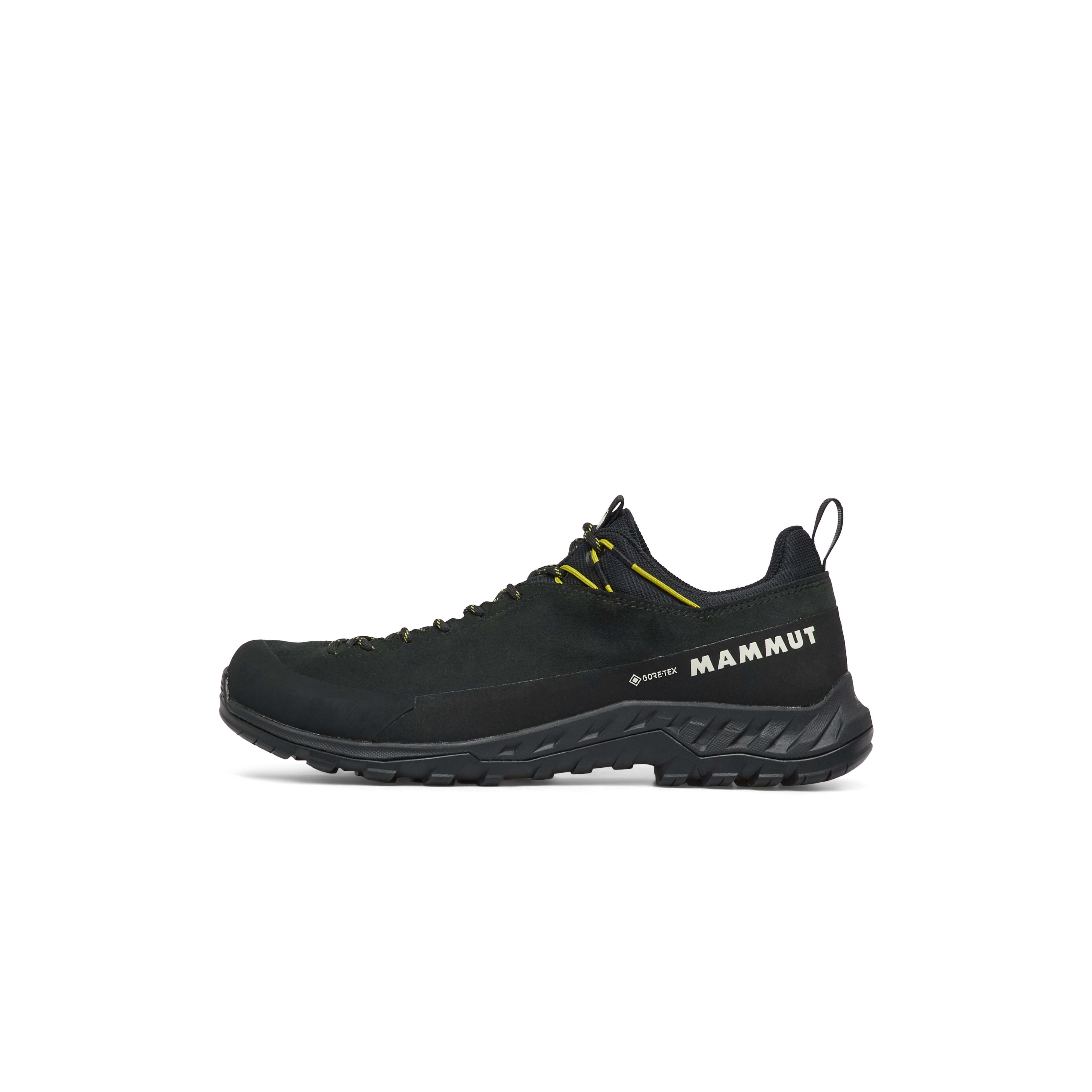 Mammut Alnasca IV Low LTH GTX Men, gabbro-acacia - Gabbro-acacia