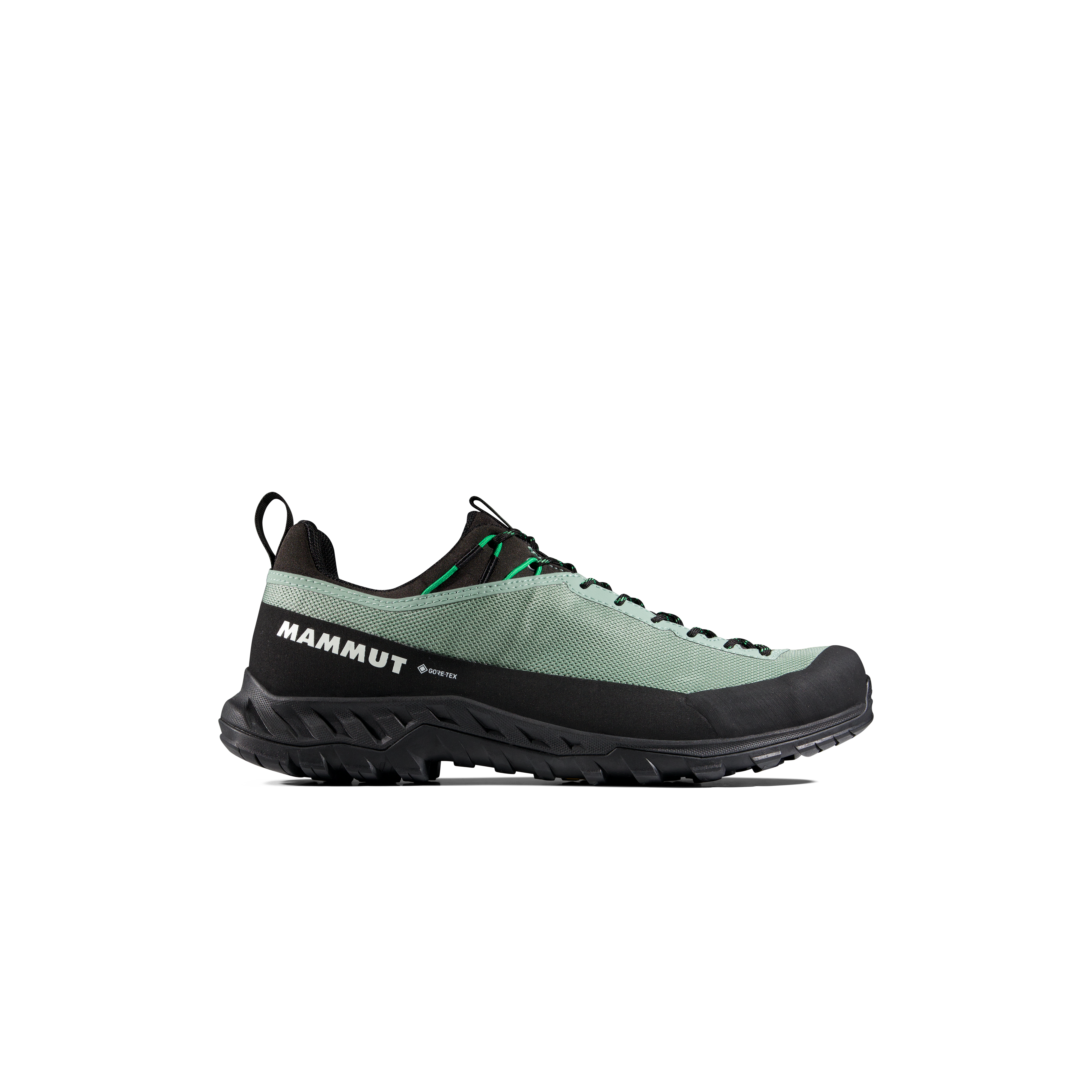 Mammut Alnasca IV Low GTX Men, deep silver sage-pinea - Deep silver sage-pinea