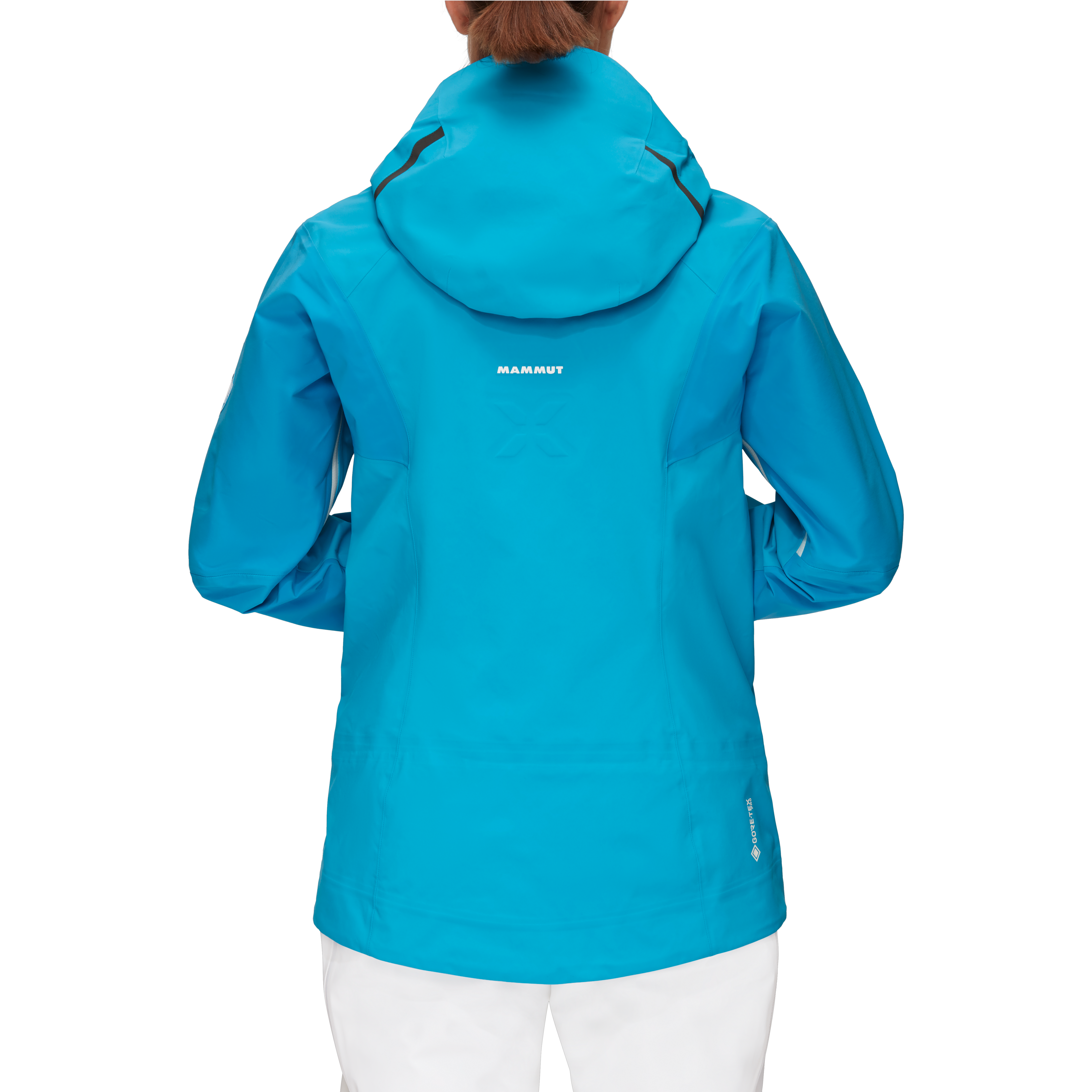Nordwand Pro HS Hooded Jacket Women product image