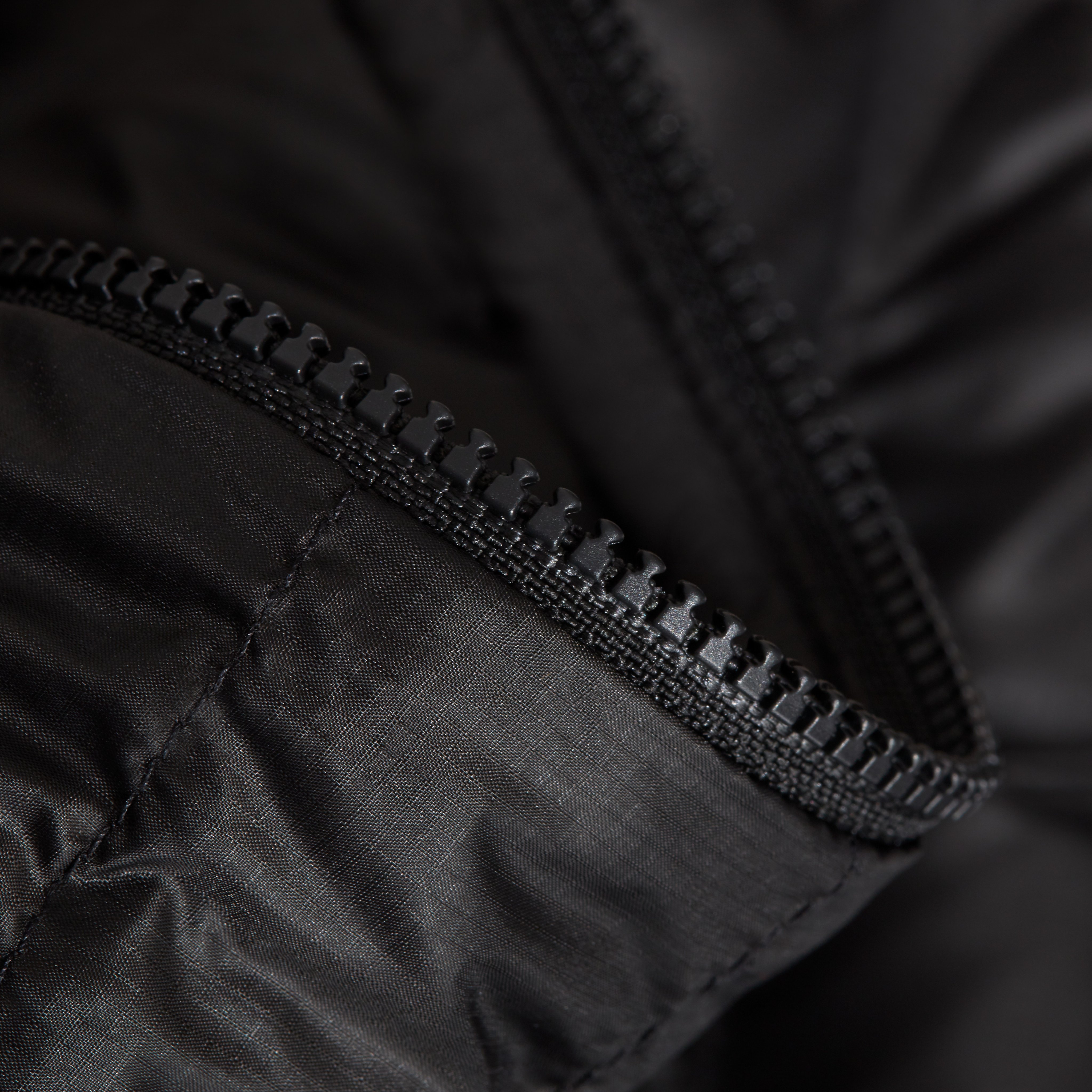 Albula IN Hooded Jacket Women product image
