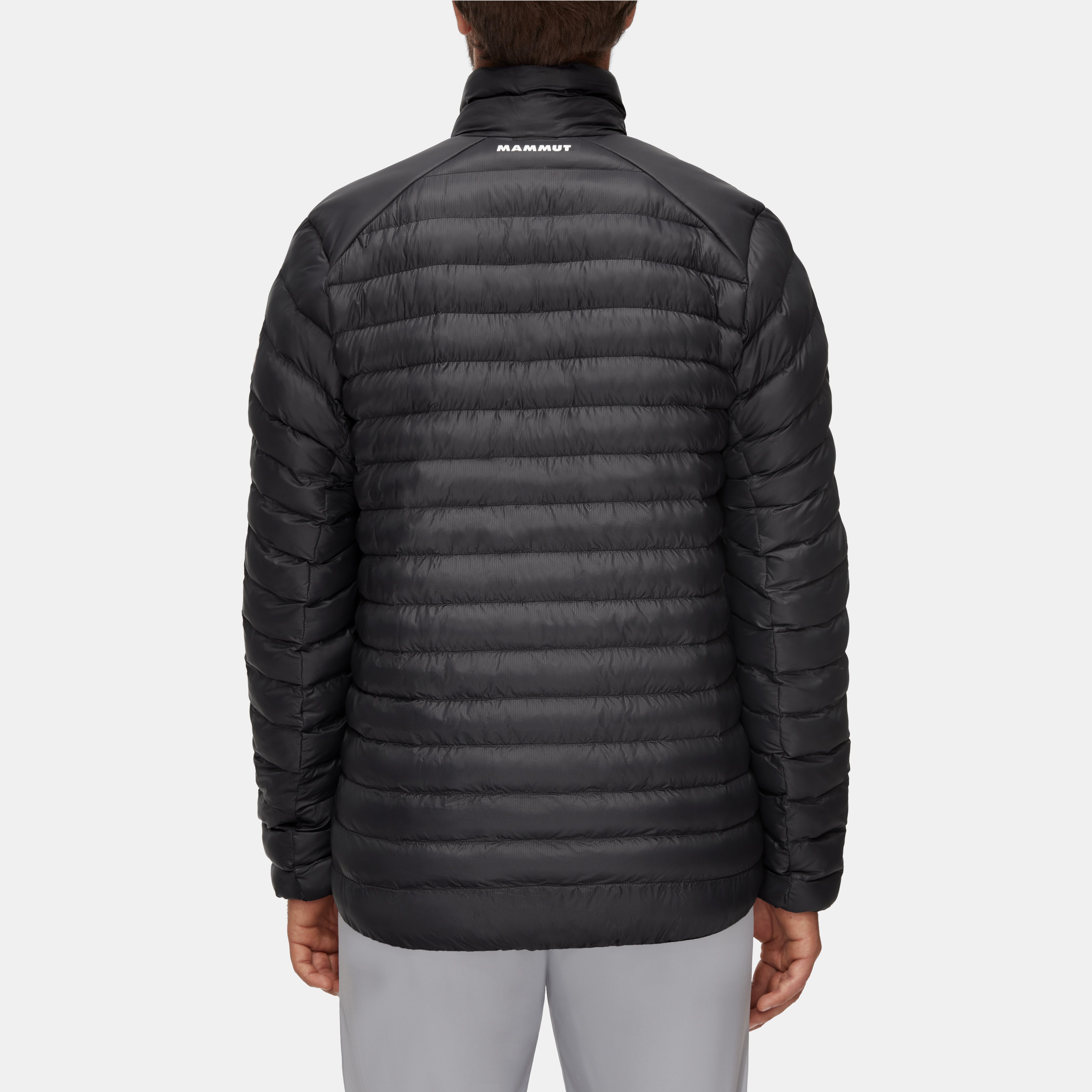Albula IN Jacket Men product image