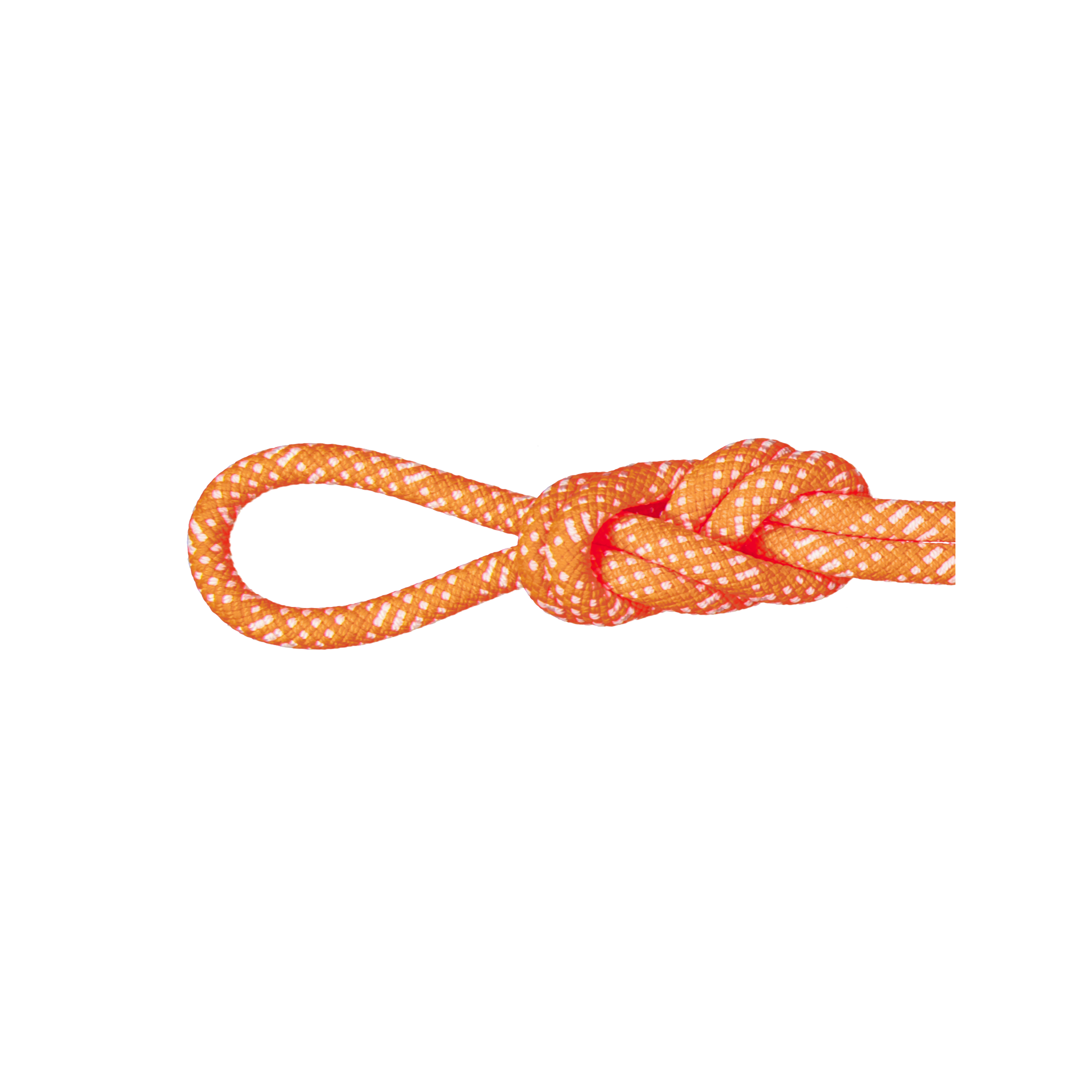 10.1 Gym Station Classic Rope product image
