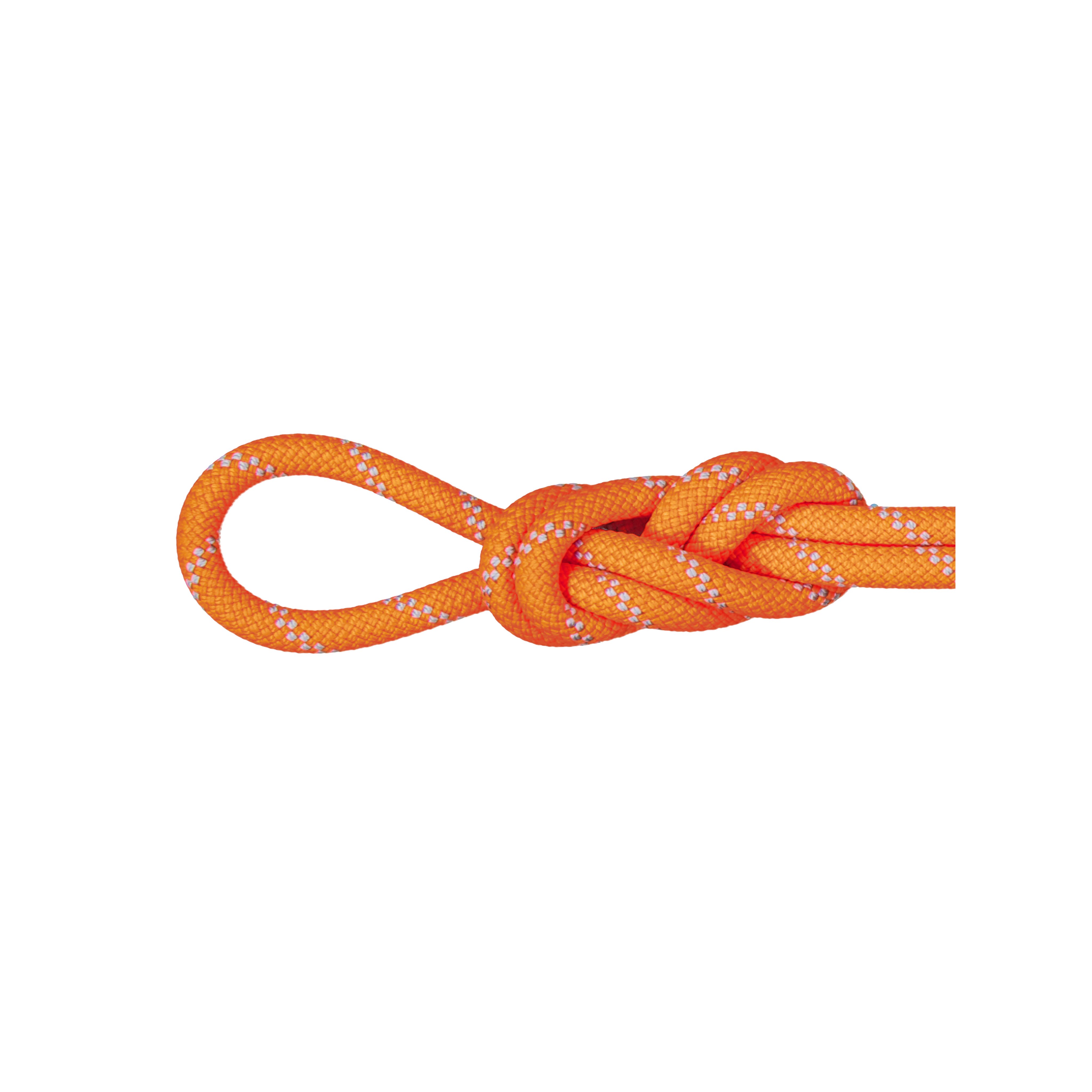 9.5 Alpine Dry Rope product image