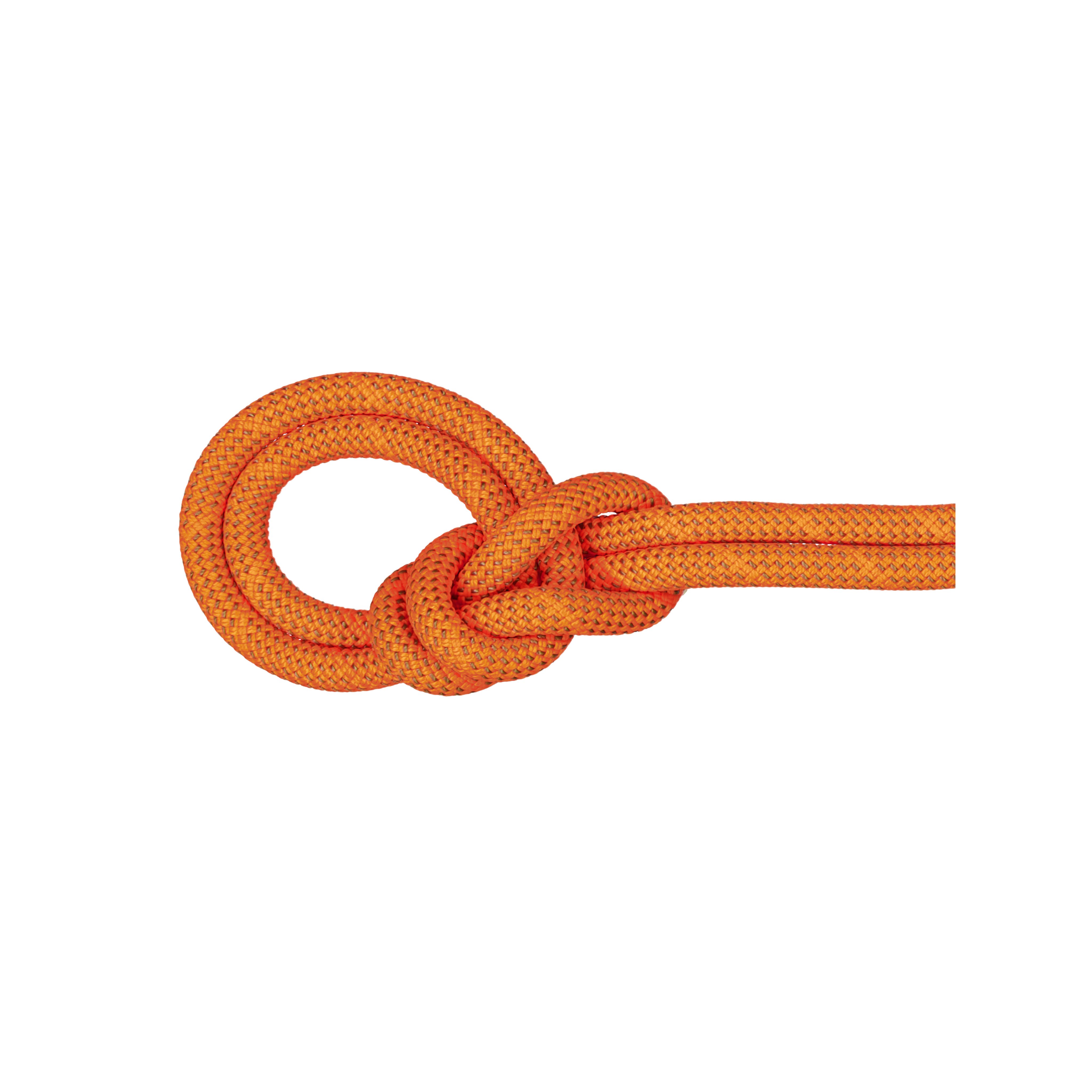 9.8 Crag Dry Rope product image