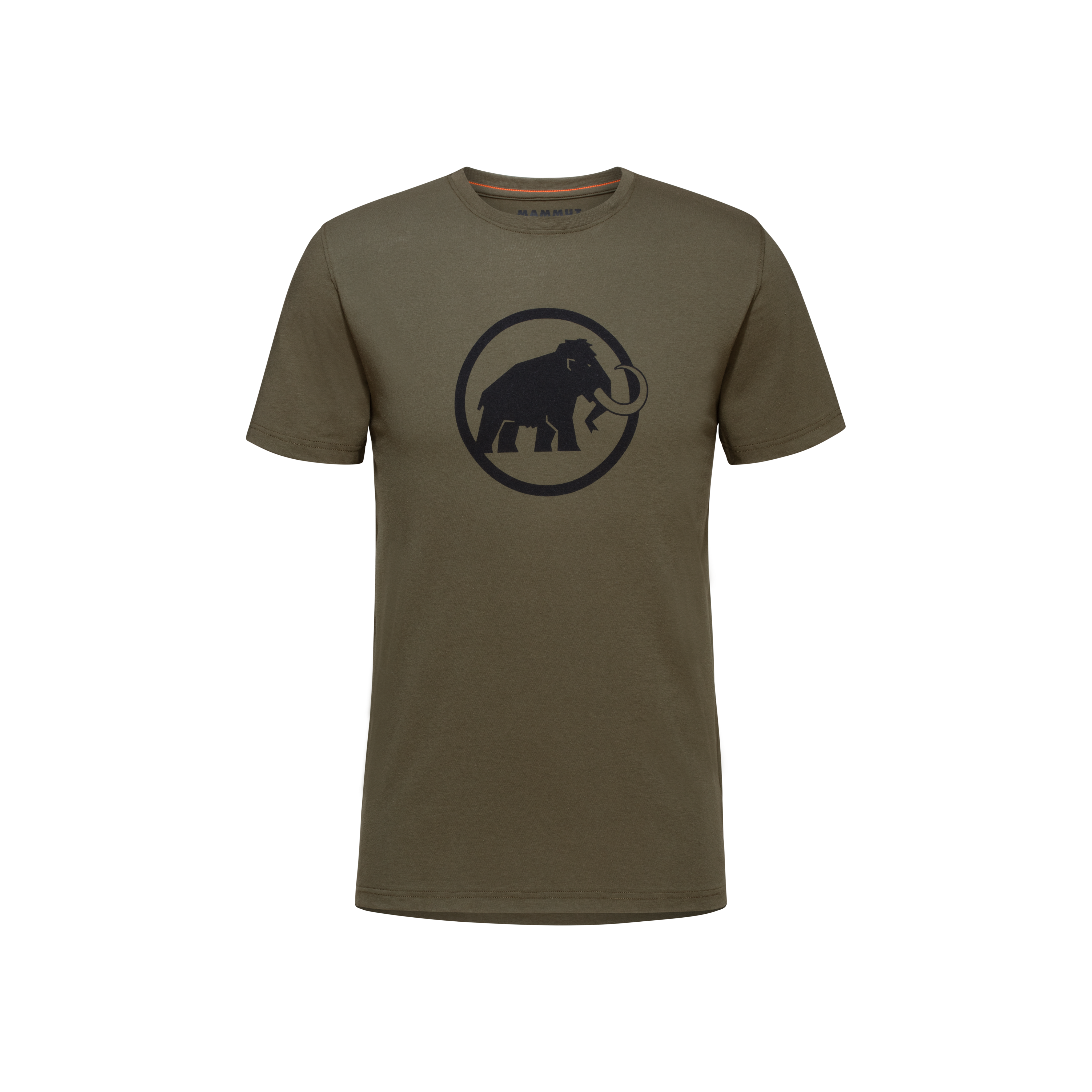 Classic T-Shirt Men - iguana, L thumbnail