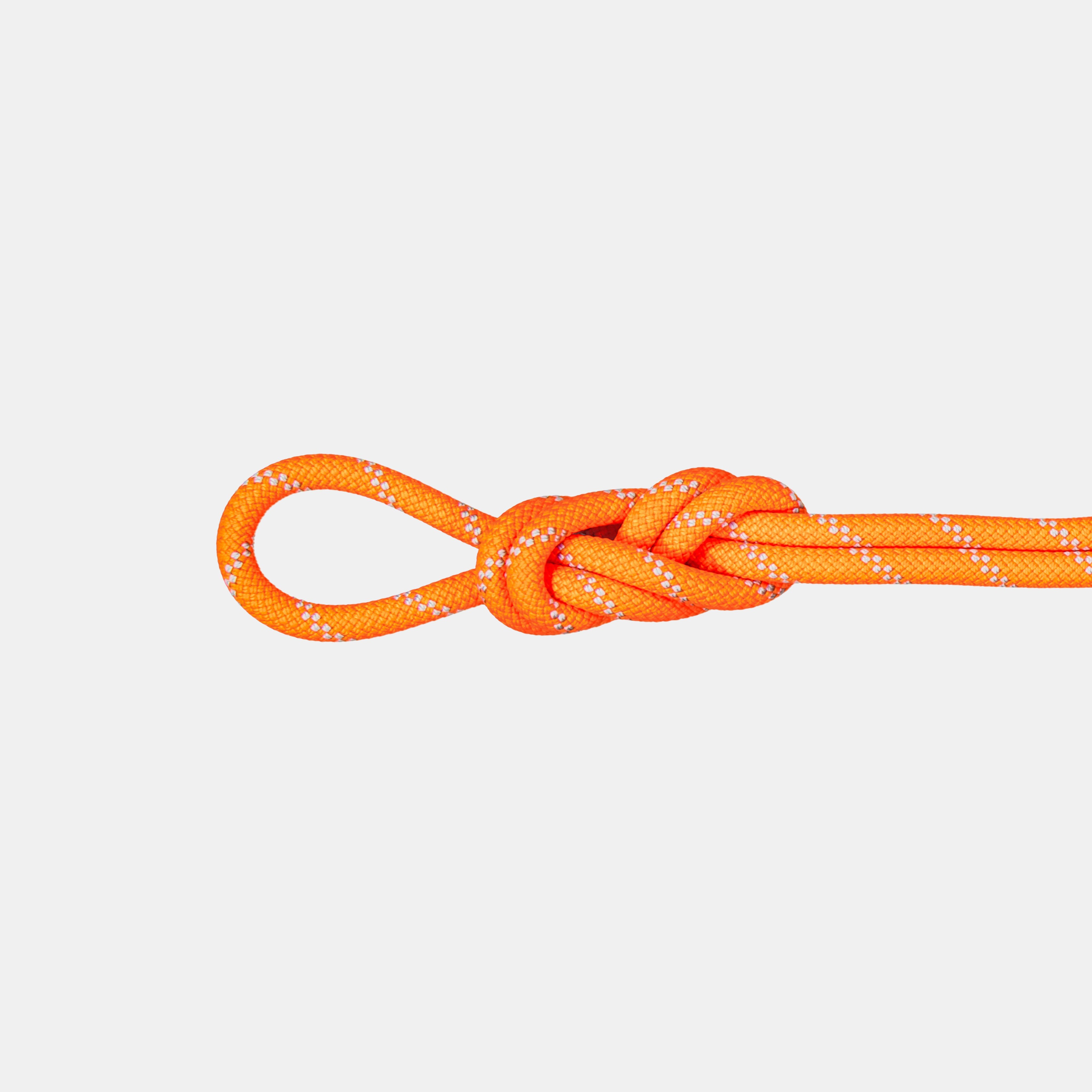 9.5 Alpine Dry Rope product image
