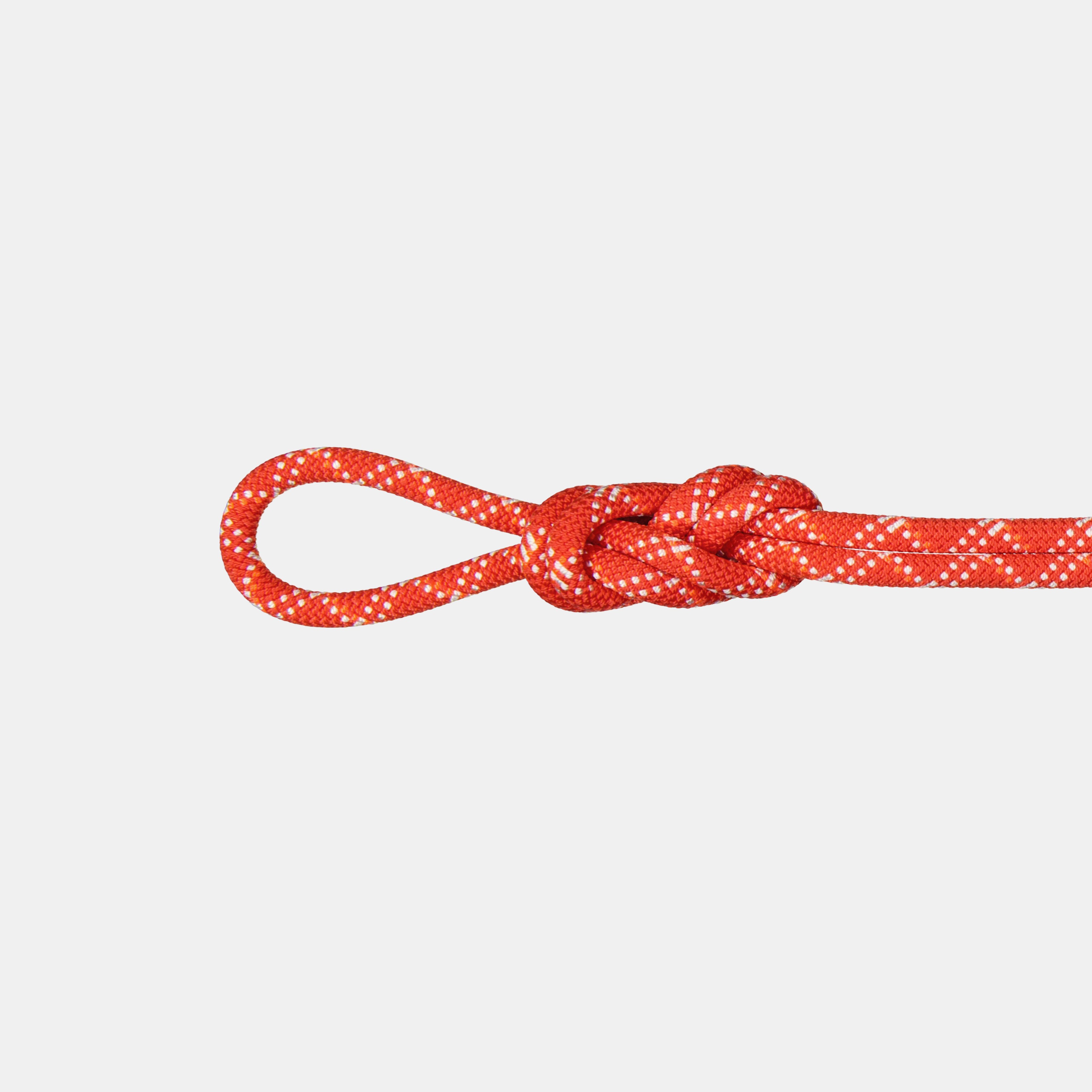 9.5 Gym Classic Rope product image