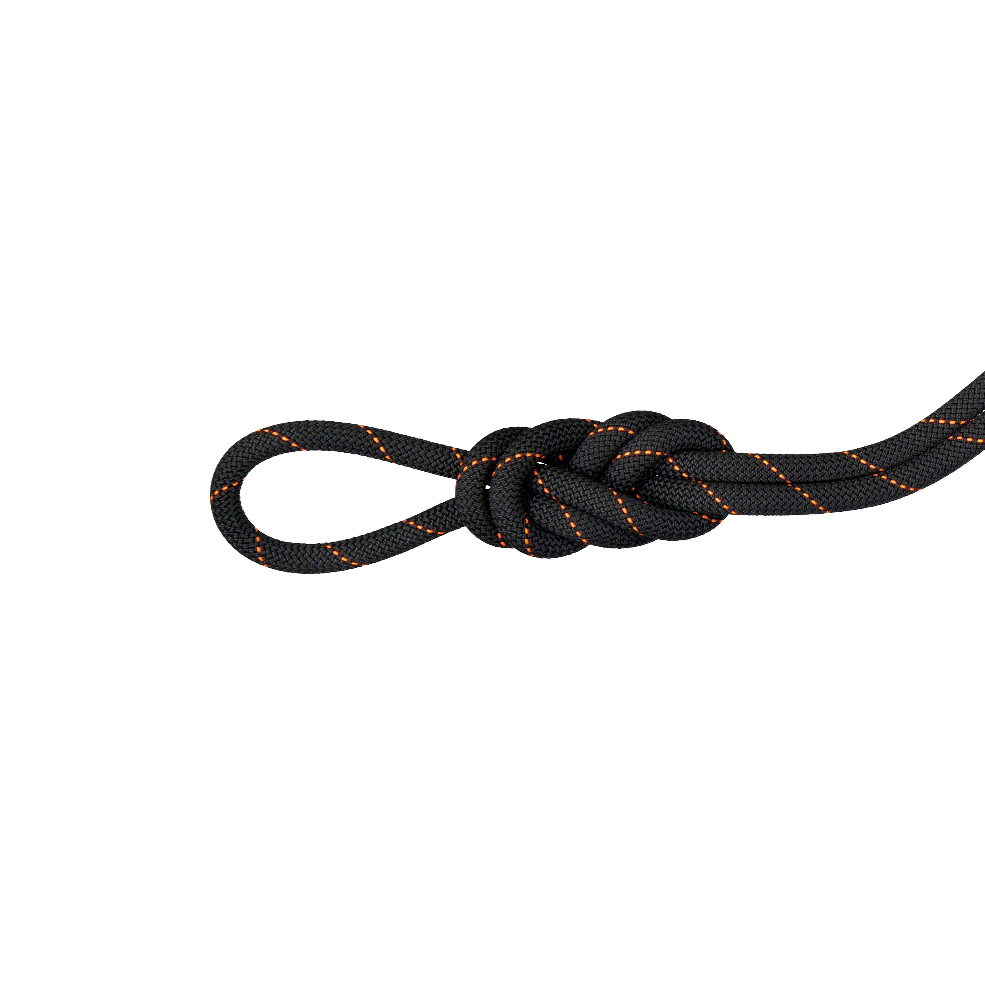 9.9 Gym Workhorse Dry Rope image