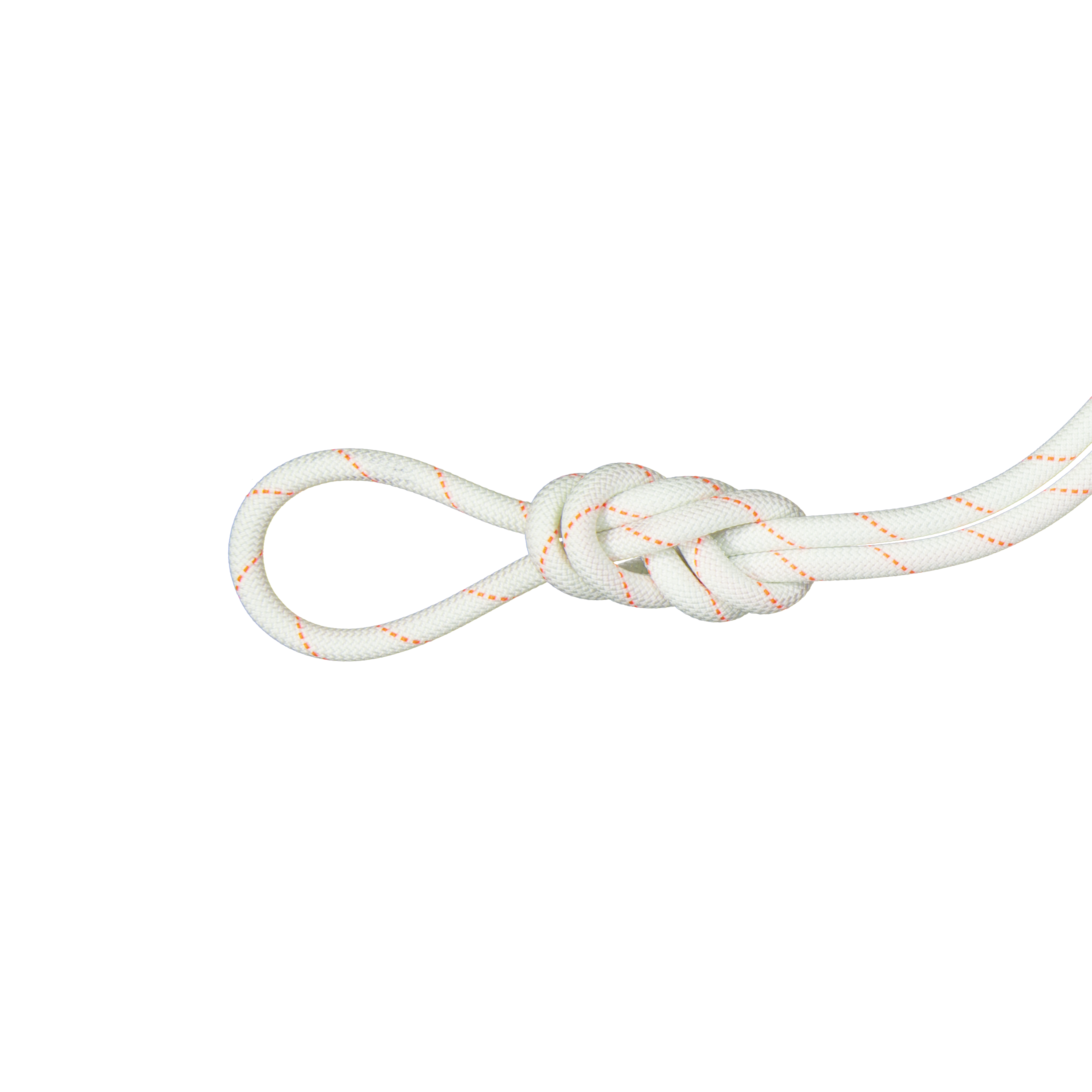 9.9 Gym Workhorse Dry Rope - Dry Standard, white thumbnail