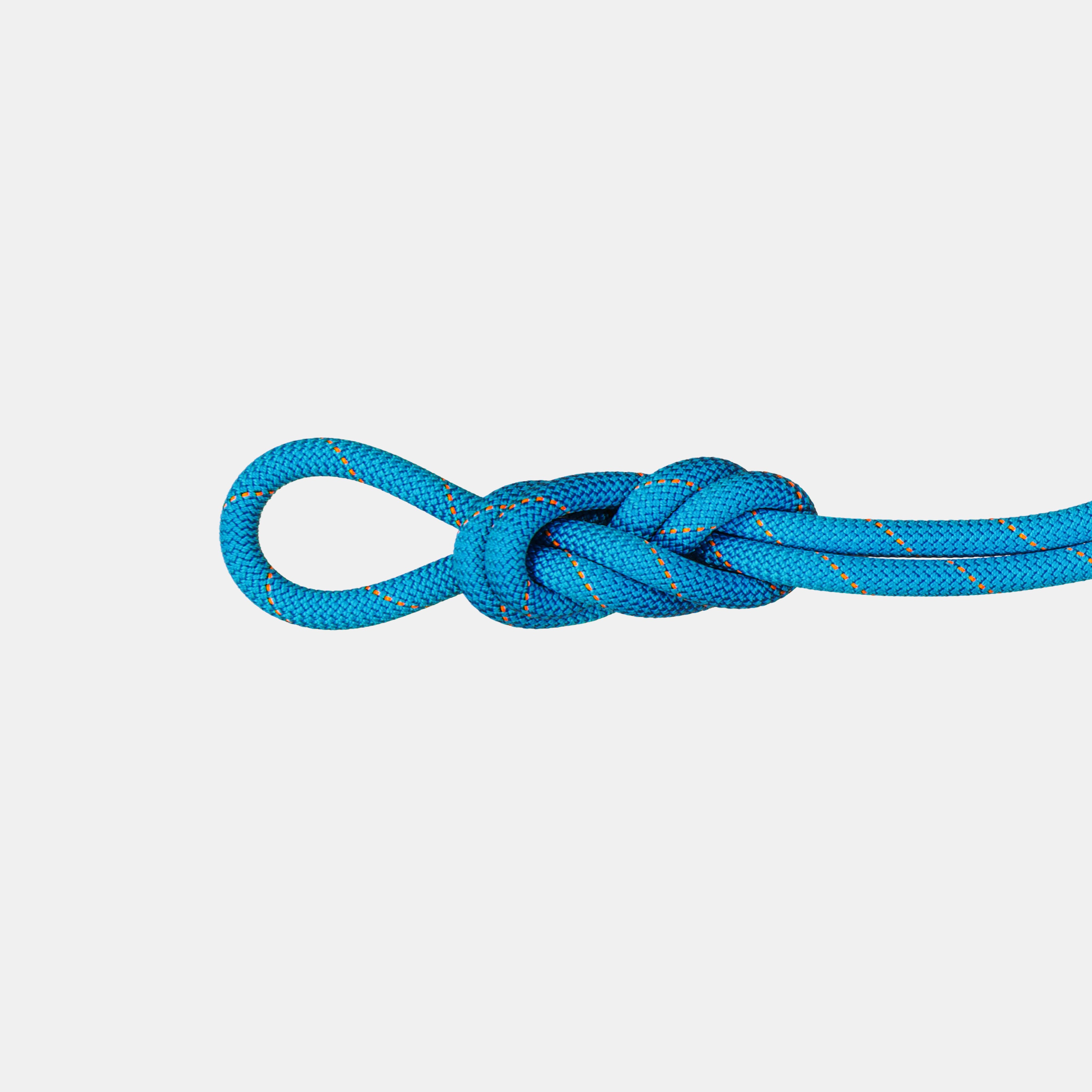 9.9 Gym Workhorse Dry Rope product image