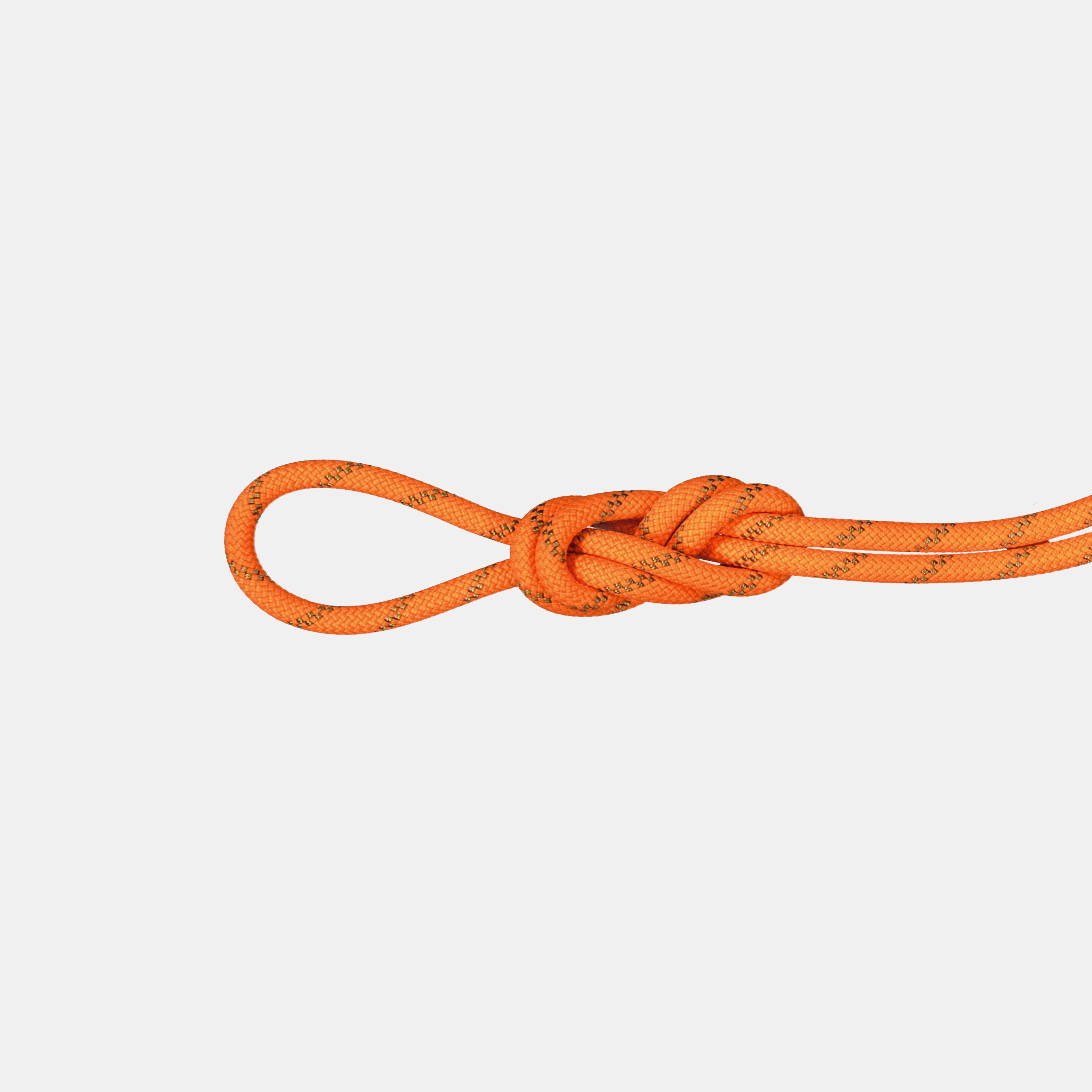 8.0 Alpine Dry Rope product image