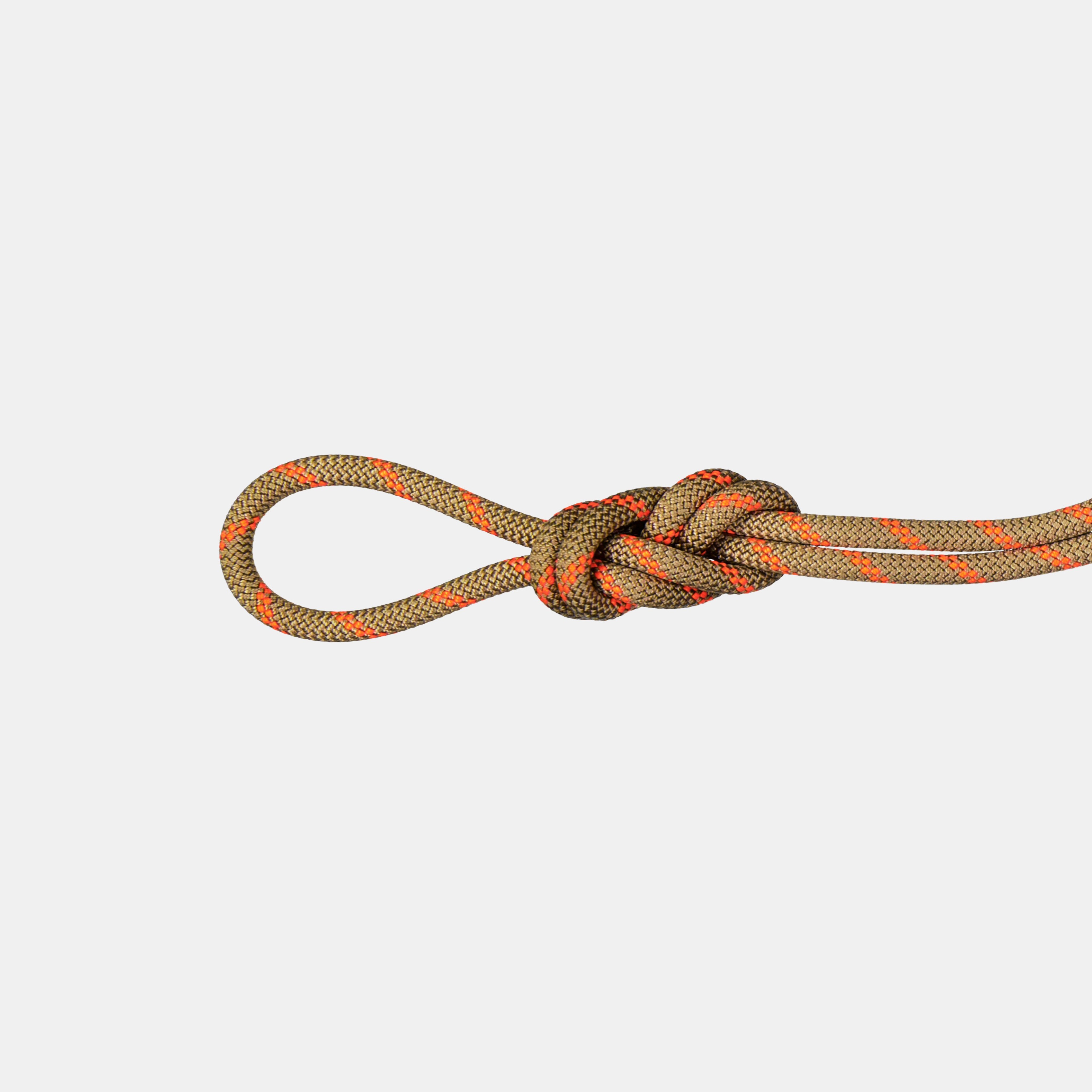 8.0 Alpine Dry Rope product image