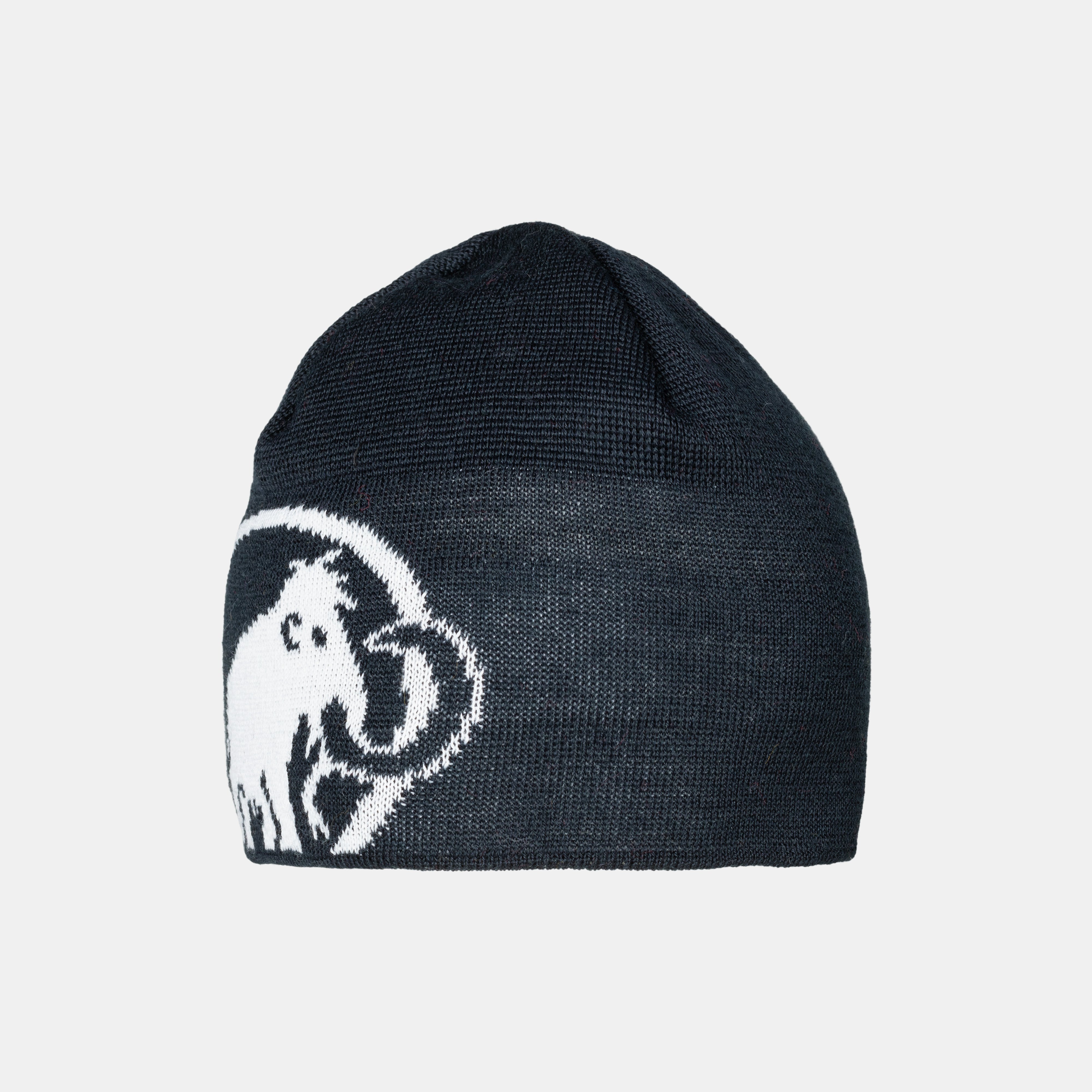 Tweak Beanie | Mammut