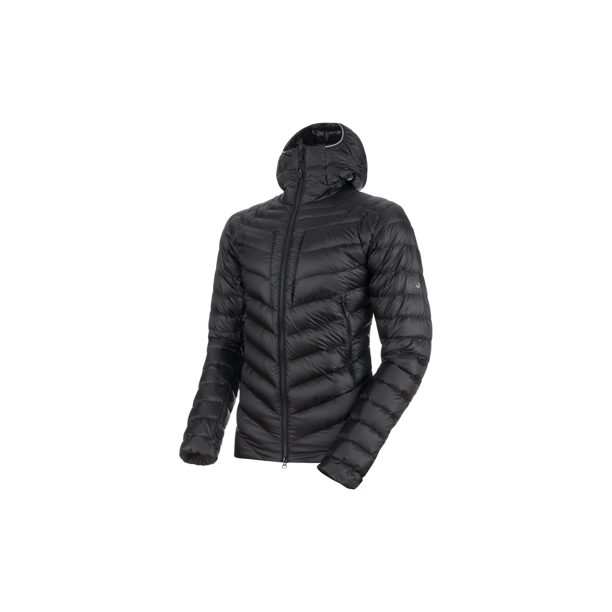 black down jacket with hood