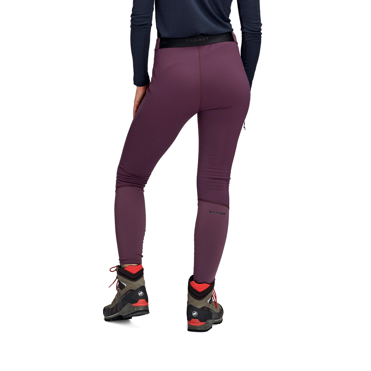 mammut aconcagua ml