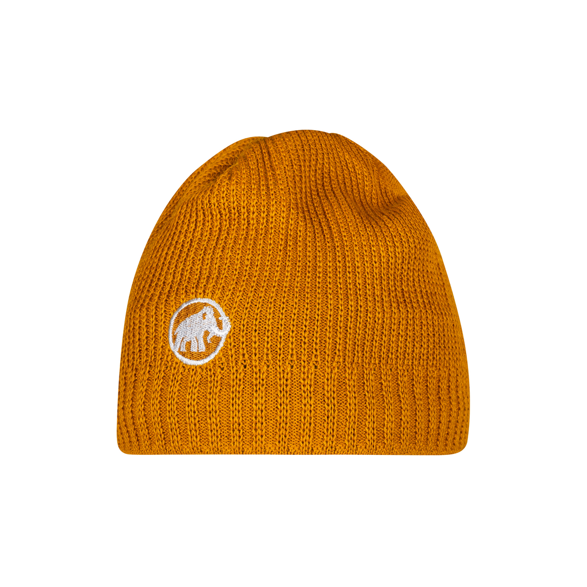 sublime beanie