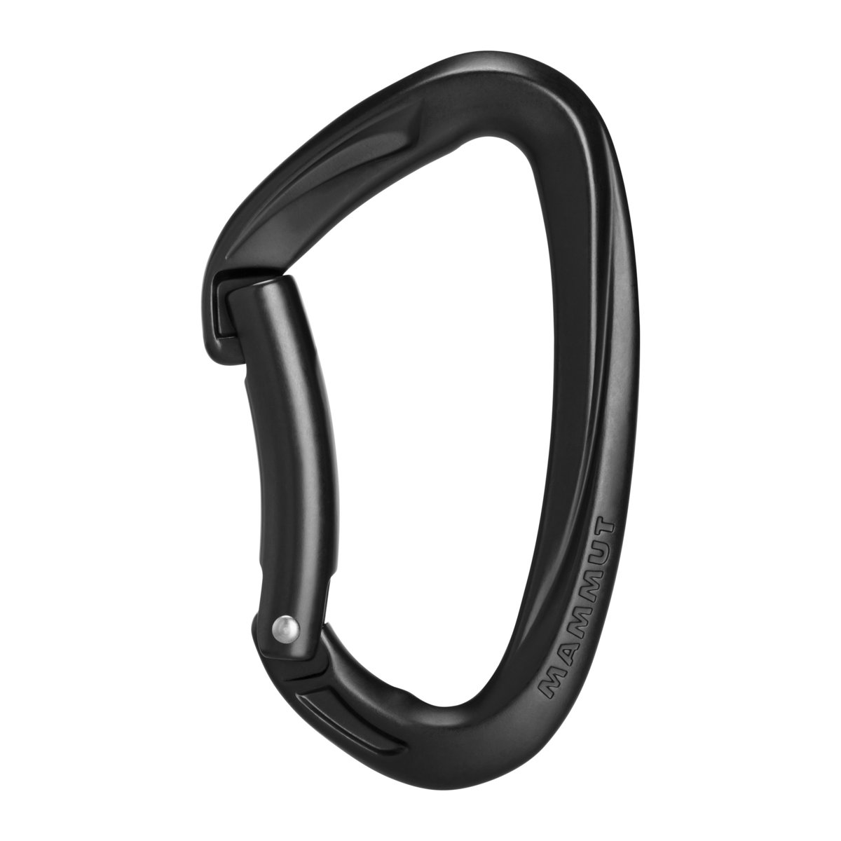 Oval Carabiners