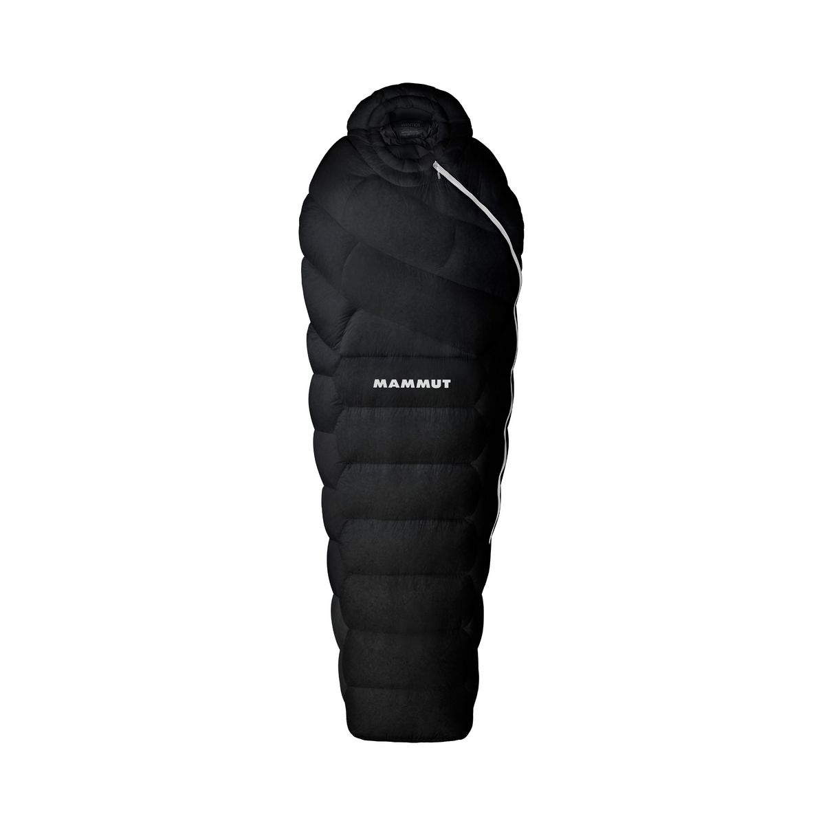 winter down sleeping bag