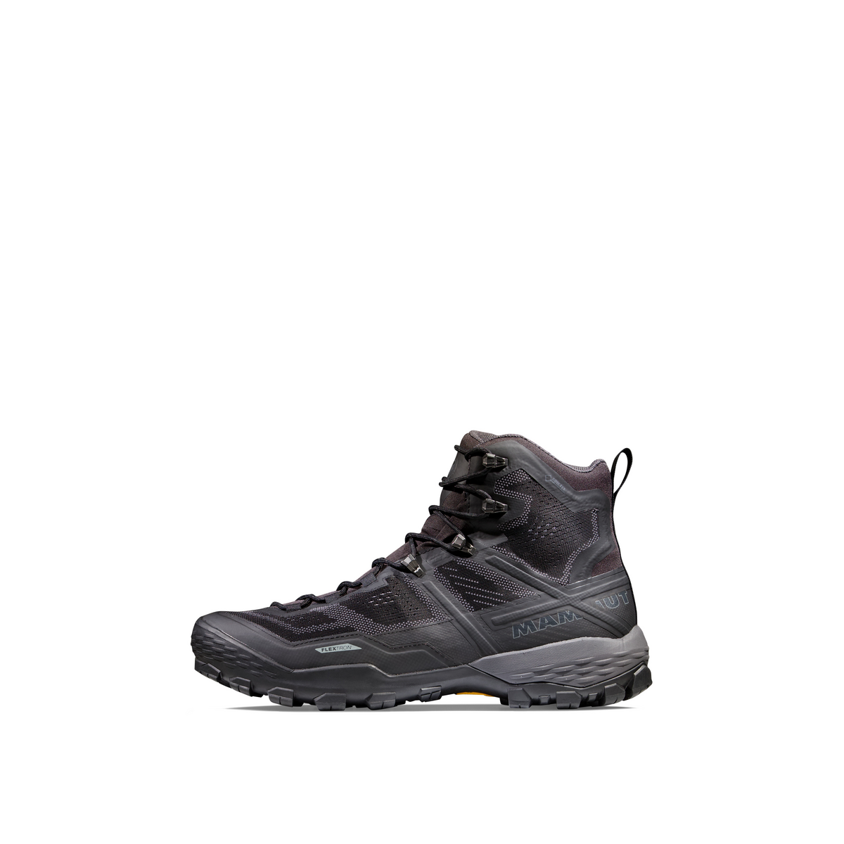 black hiking shoe