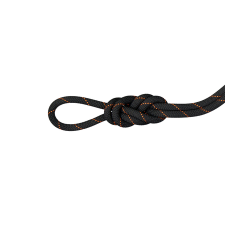 mammut ropes